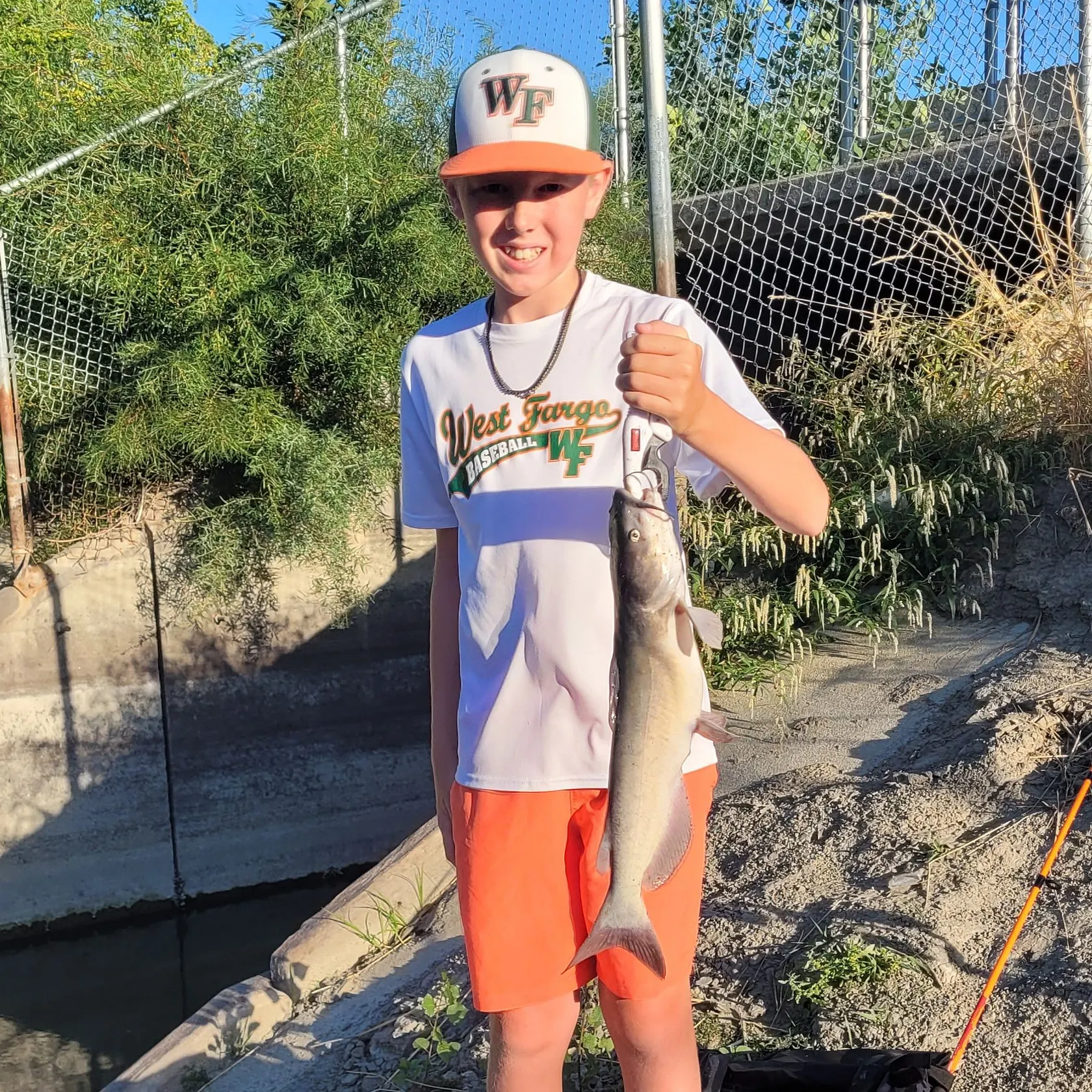 Channel catfish caught on Fishbrain