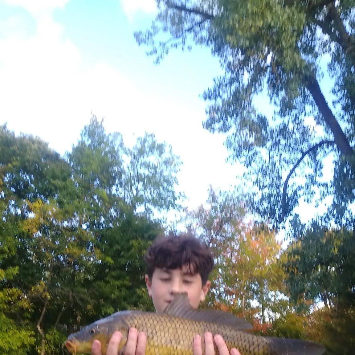 Common carp caught on Fishbrain