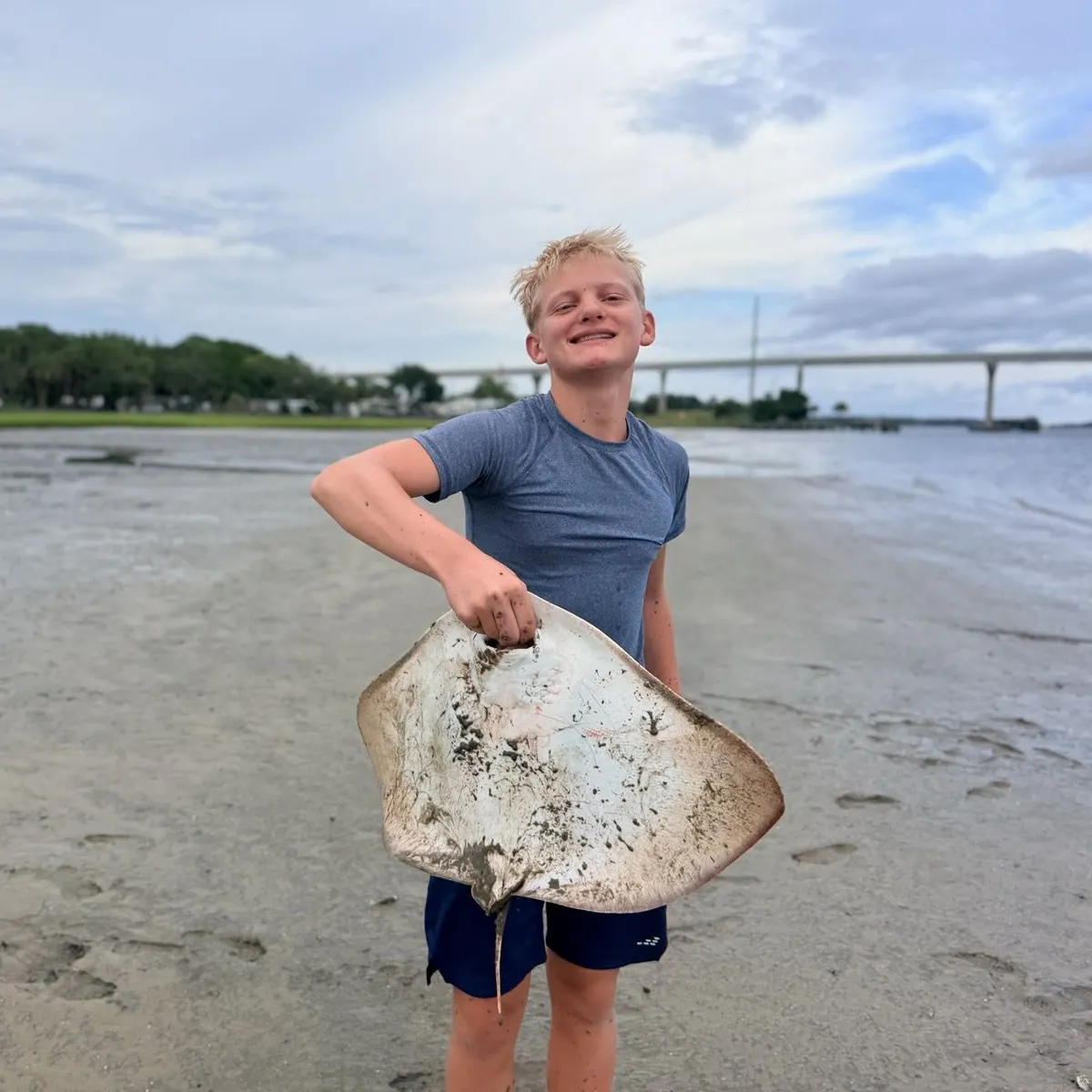The most recent California butterfly ray catches on Fishbrain
