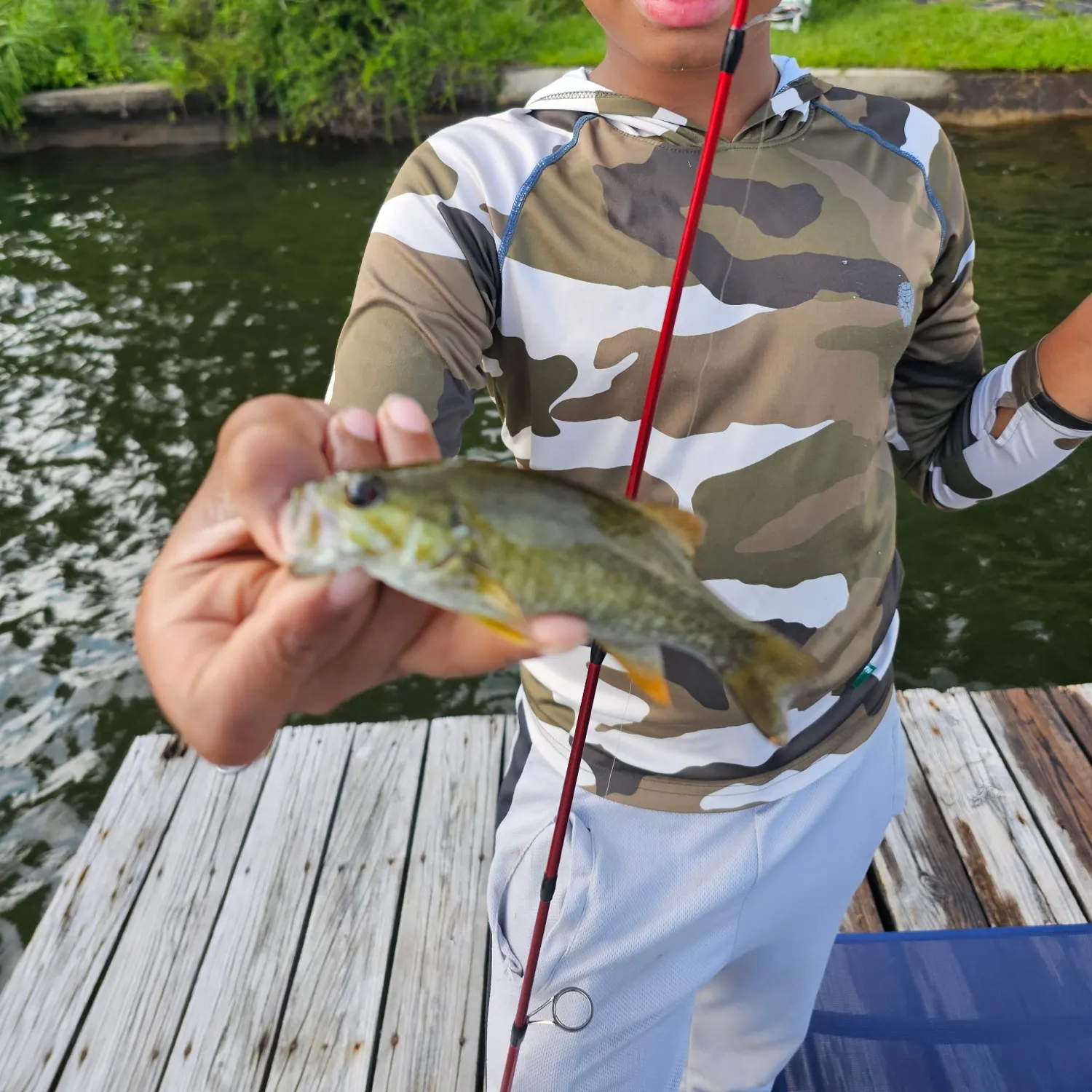 Smallmouth bass caught on Fishbrain