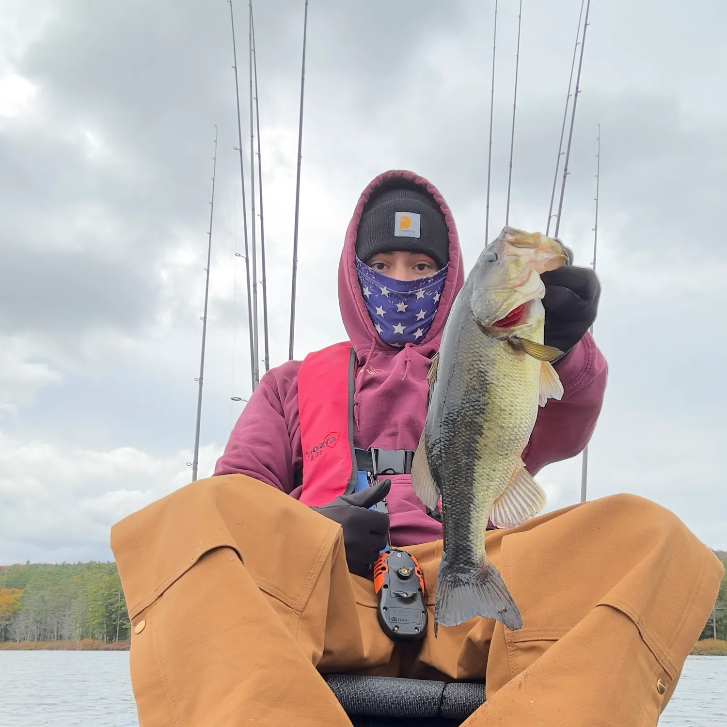 Largemouth bass caught on Fishbrain