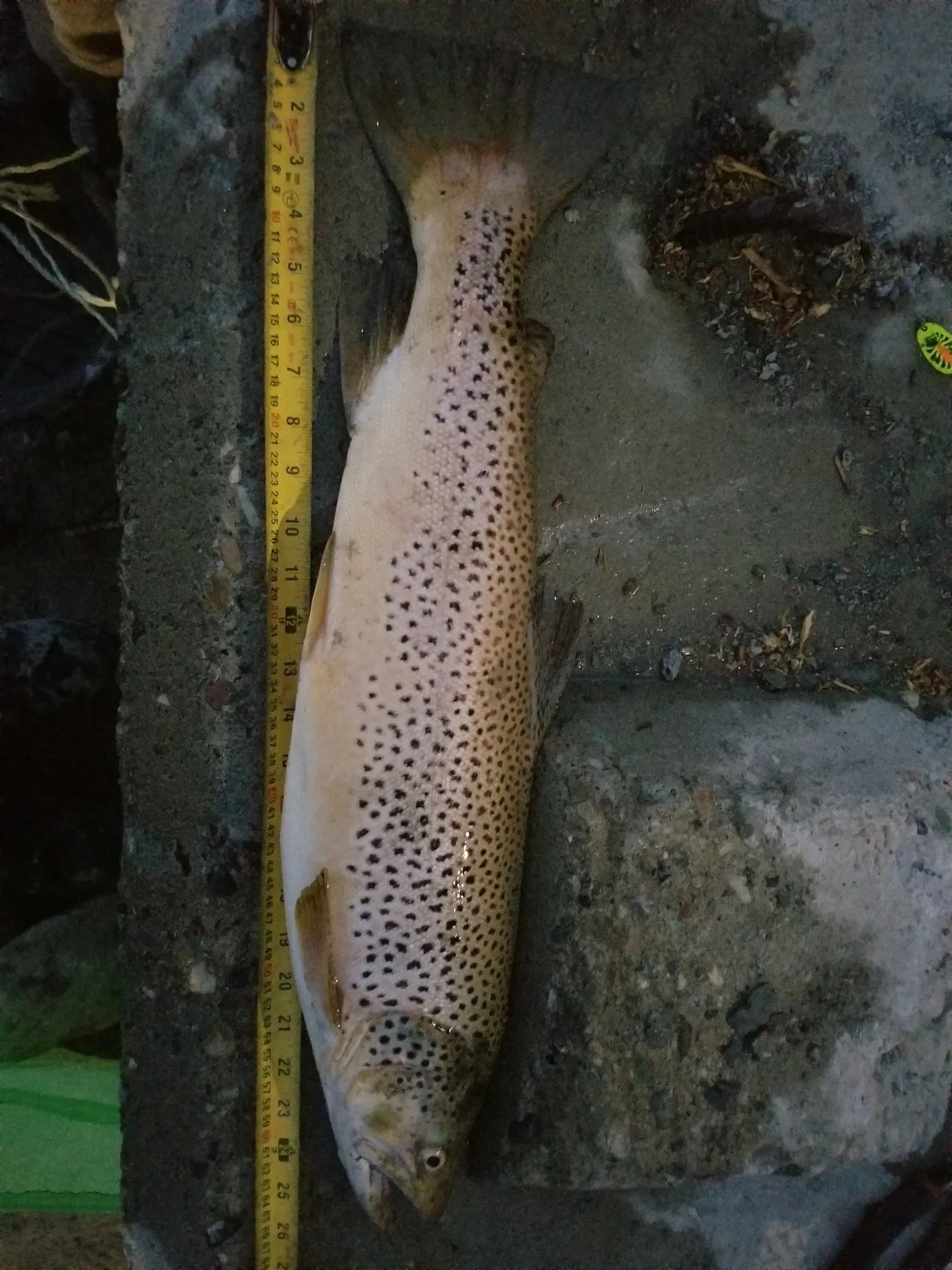 Post image from dchisholm9881