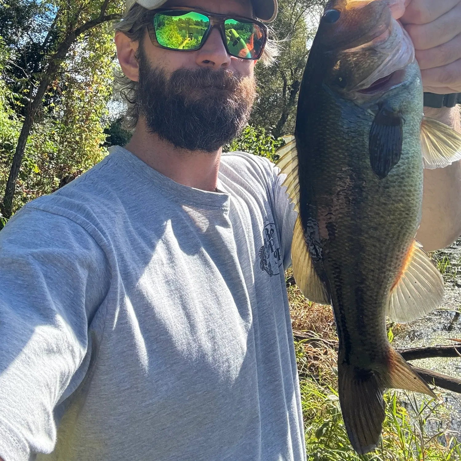 Largemouth bass caught on Fishbrain