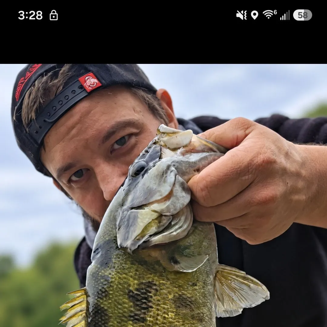 Smallmouth bass caught on Fishbrain