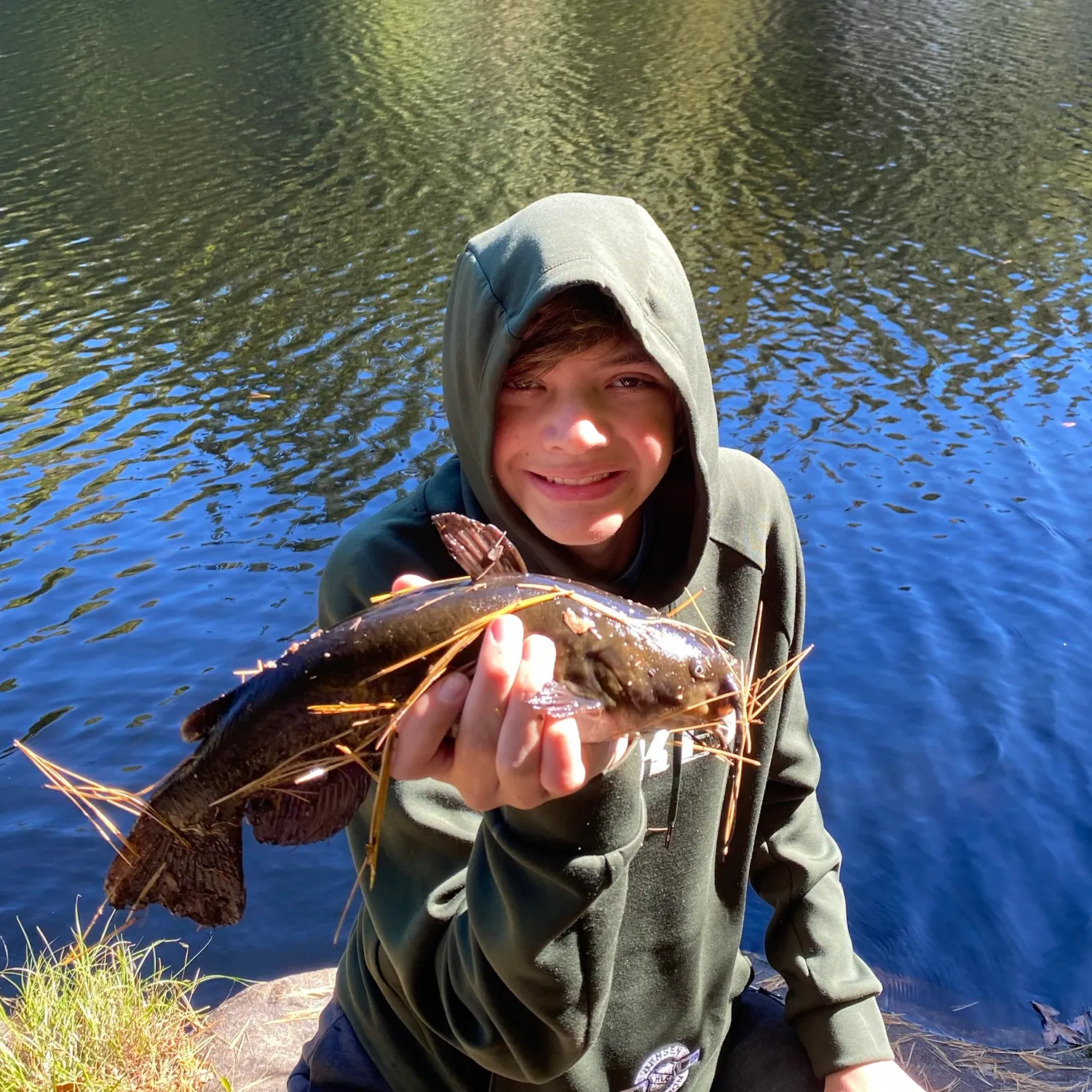 Black bullhead caught on Fishbrain