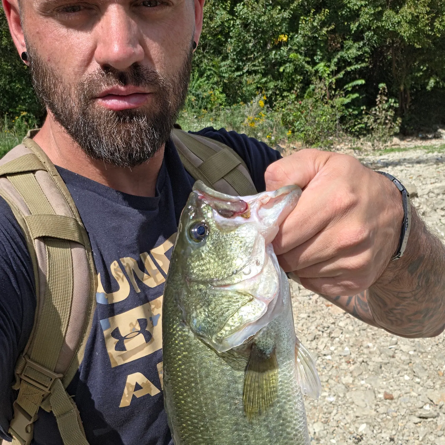 Largemouth bass caught on Fishbrain