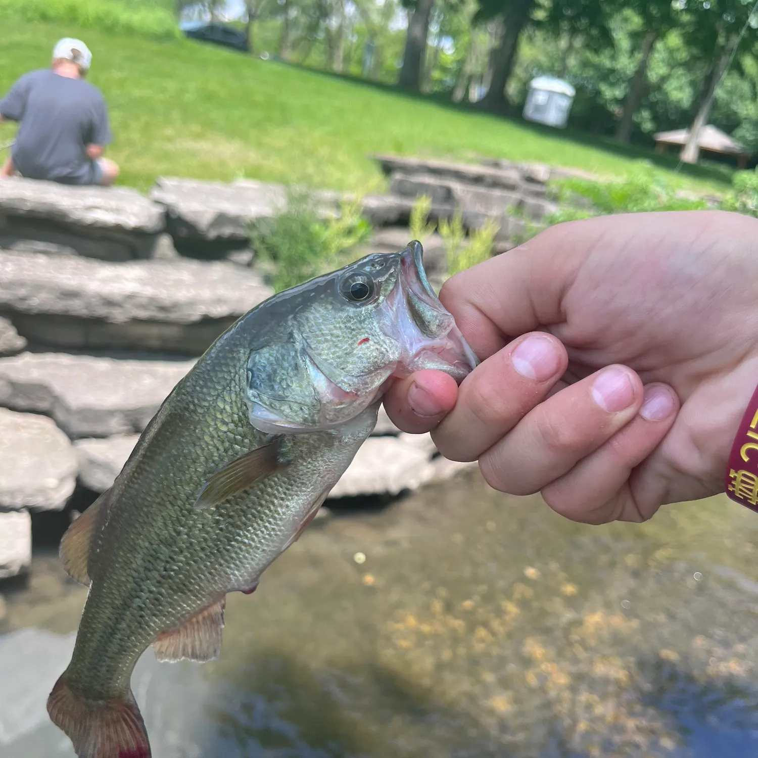 angler catch