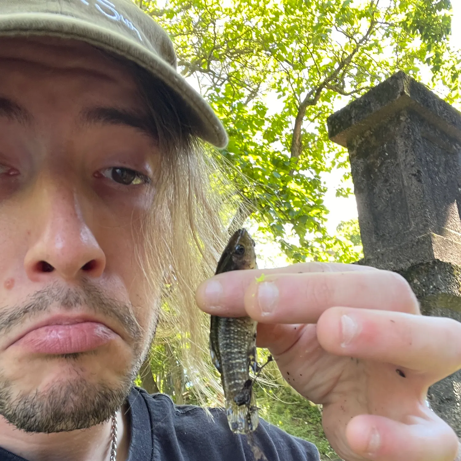 The most recent Central mudminnow catches on Fishbrain