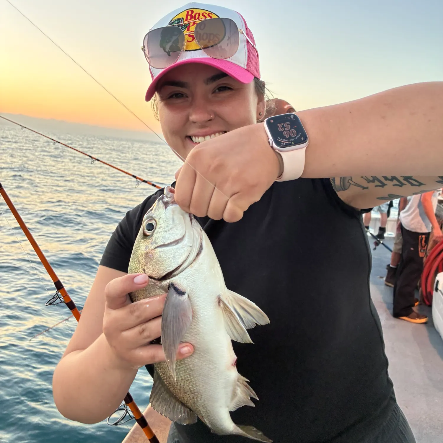 Sargo caught on Fishbrain