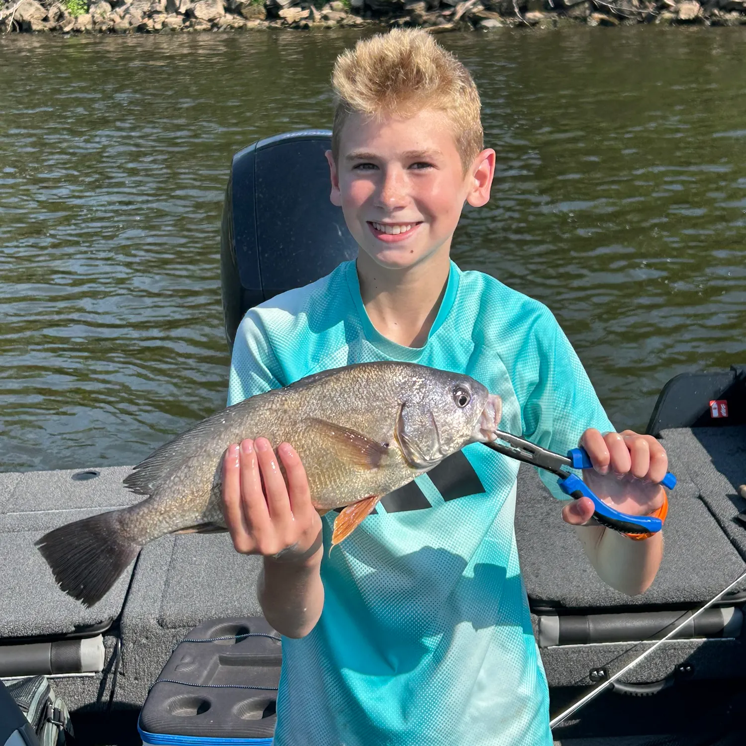 Freshwater drum caught on Fishbrain