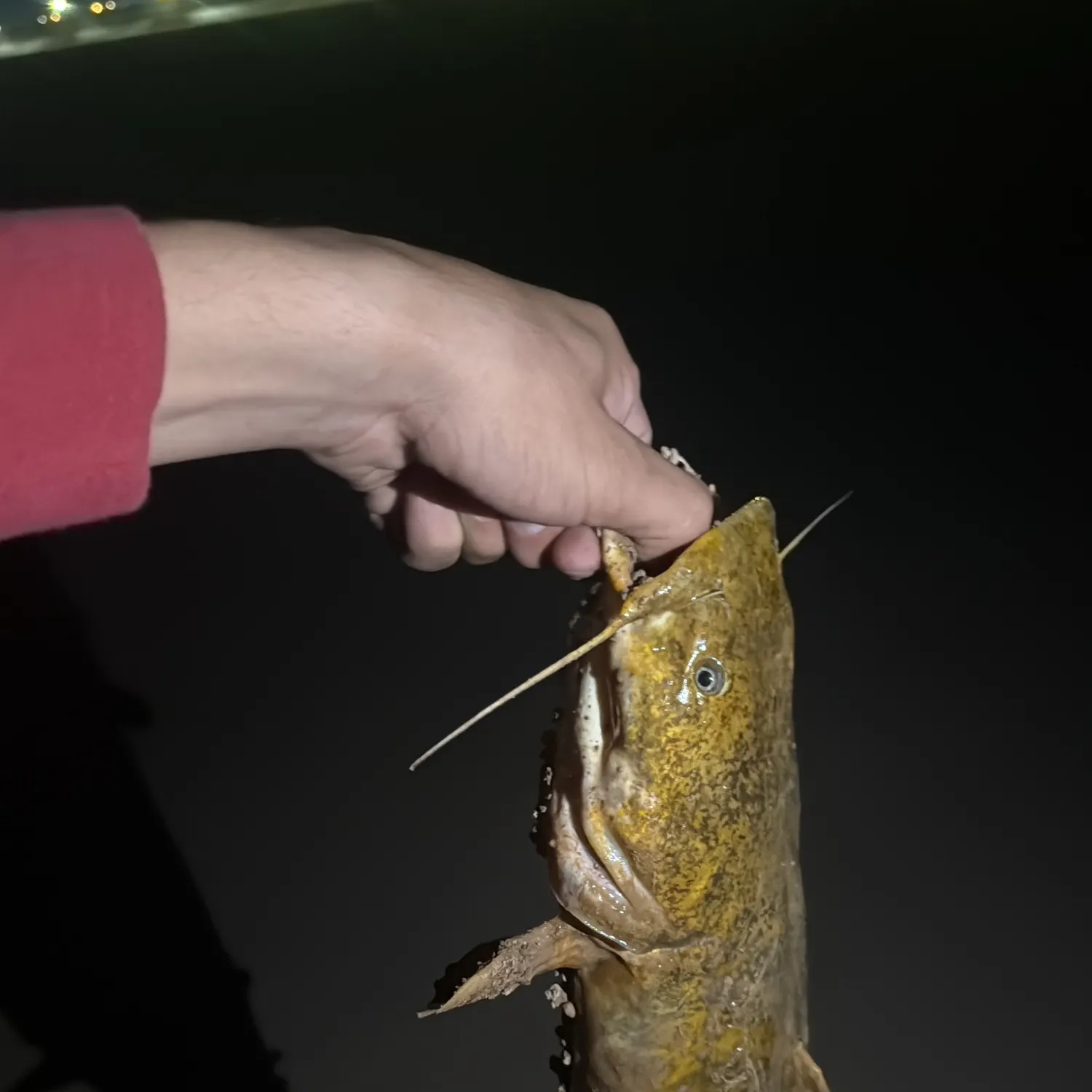 catch