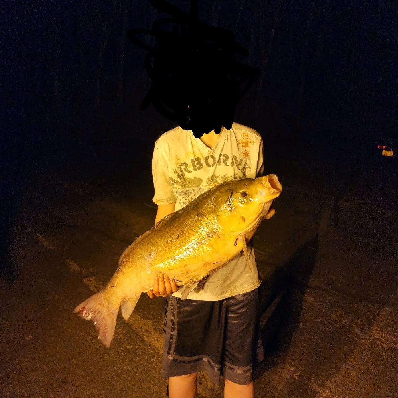 The most recent Bigmouth buffalo catches on Fishbrain