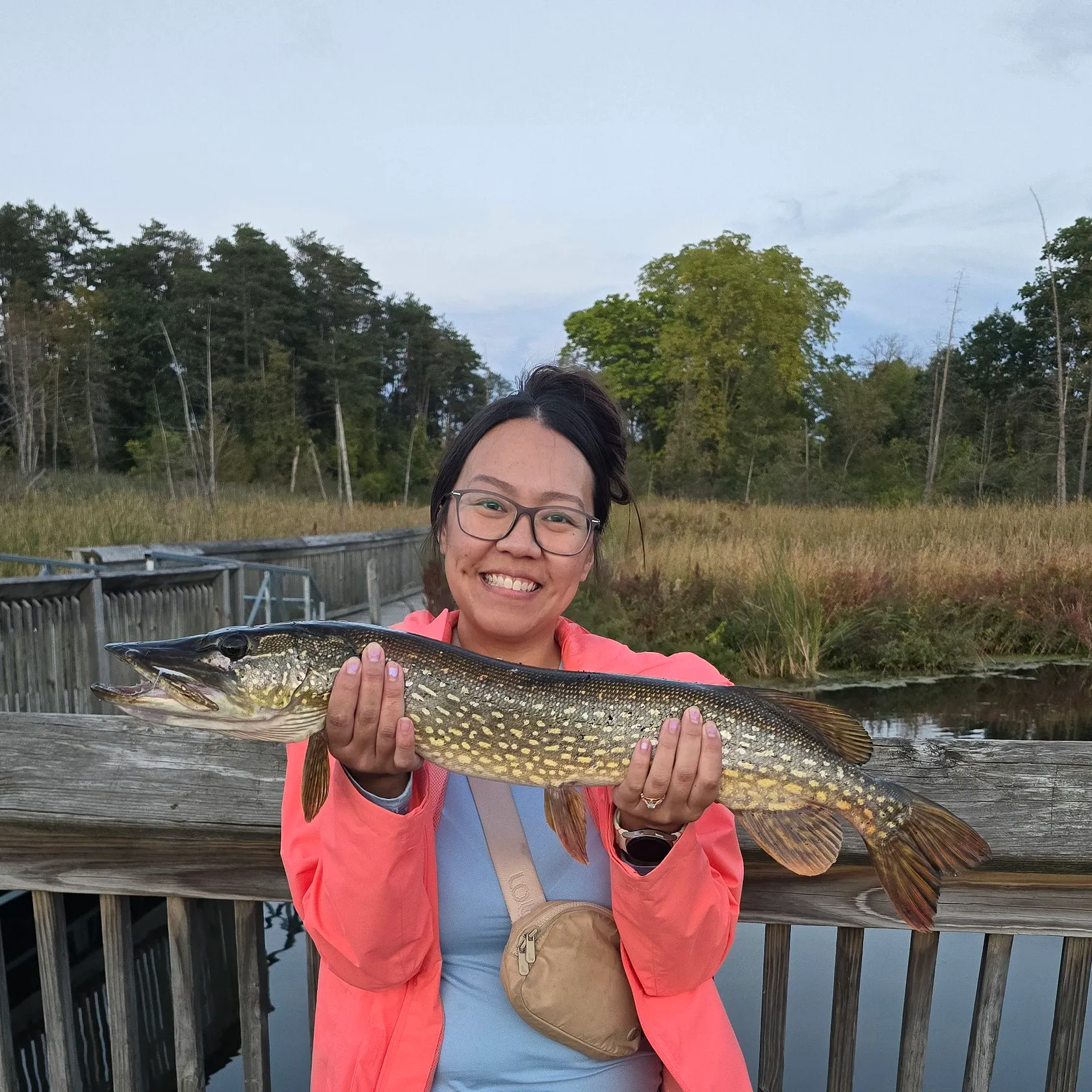 Northern pike caught on Fishbrain