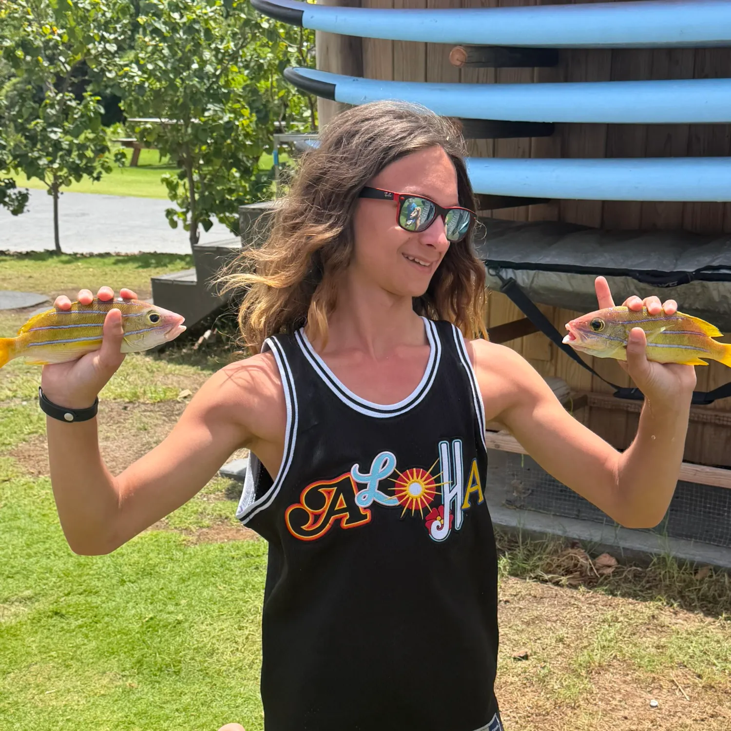 The most recent Common bluestripe snapper catches on Fishbrain