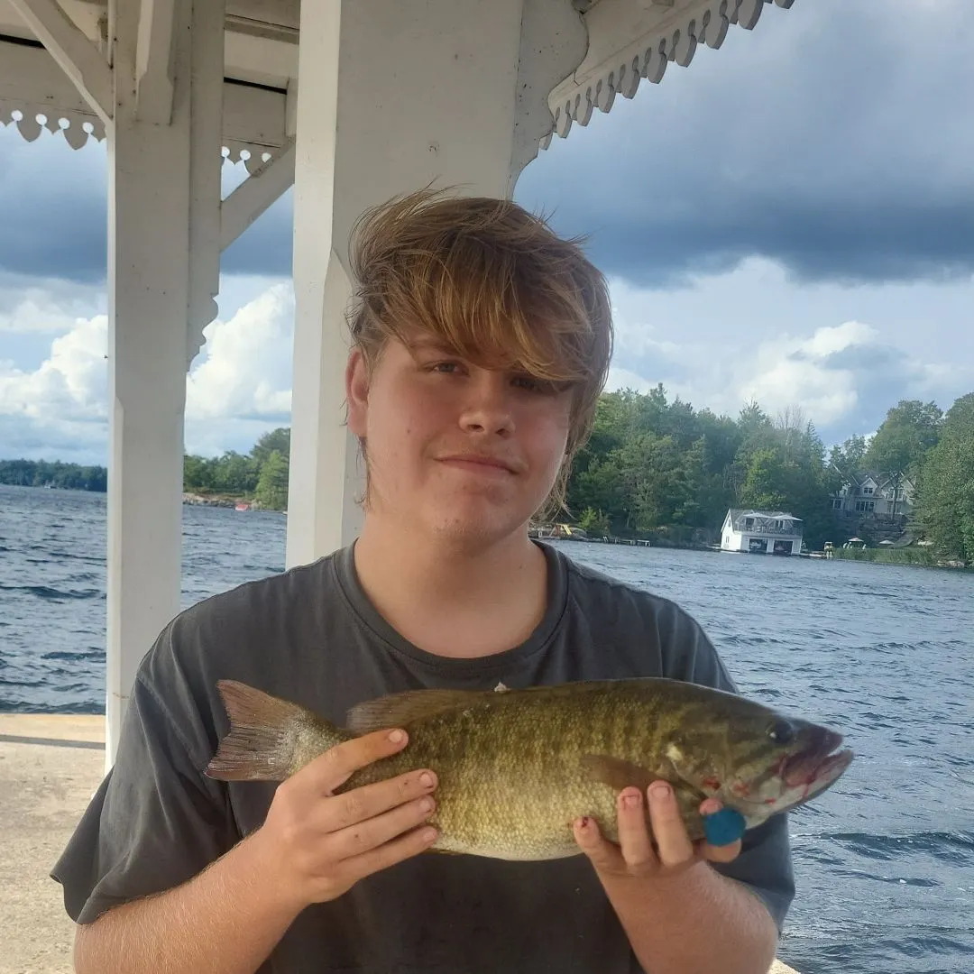 Smallmouth bass caught on Fishbrain