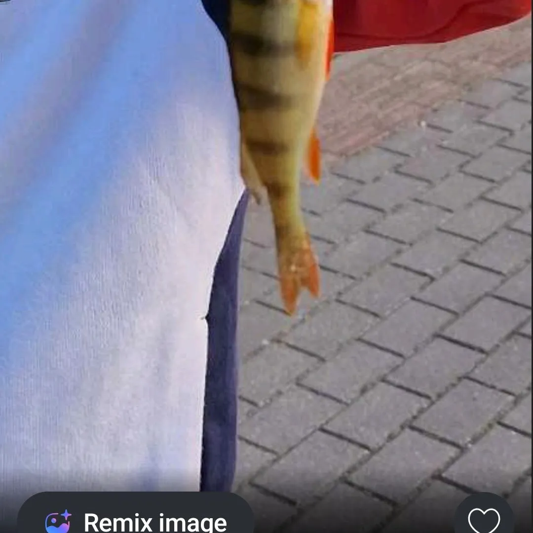 European perch caught on Fishbrain