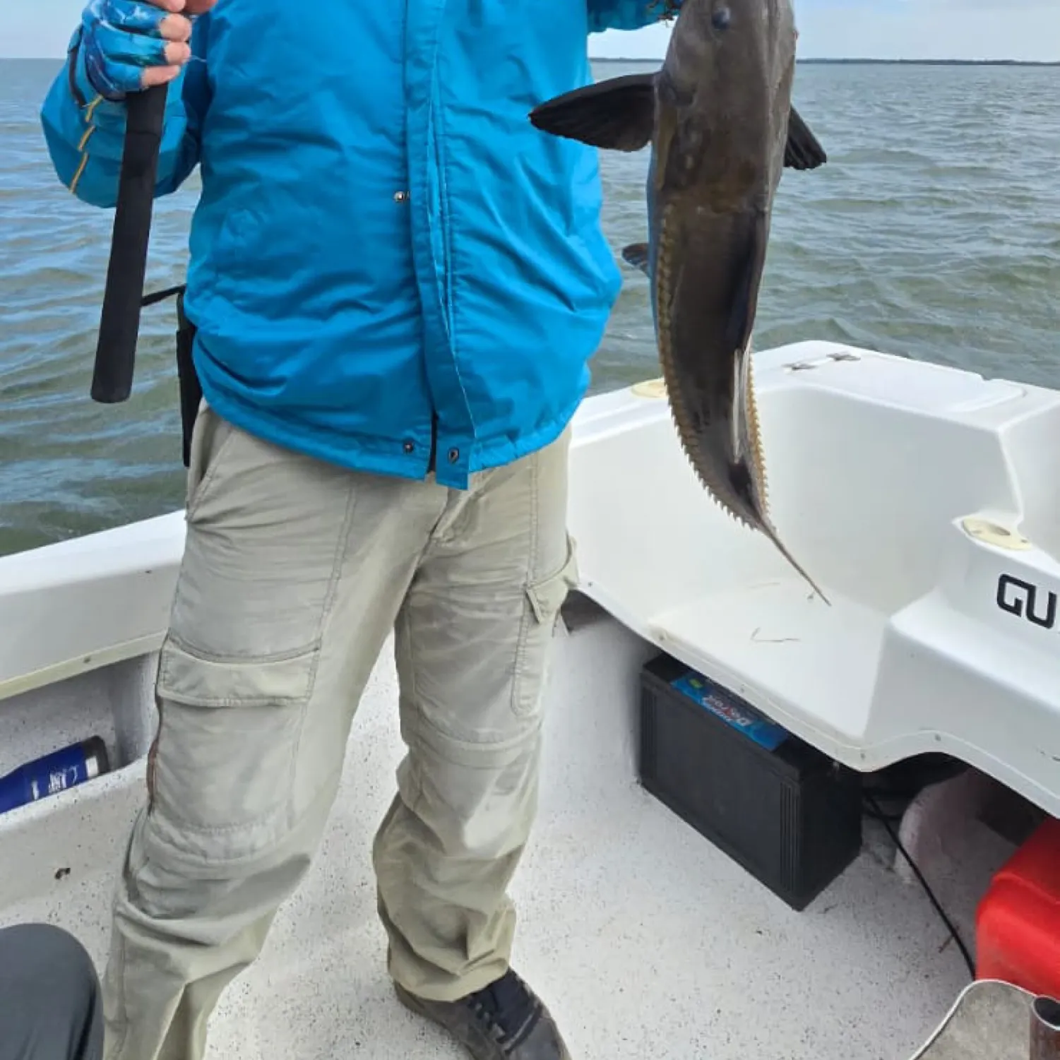 The most recent Granulated catfish catches on Fishbrain