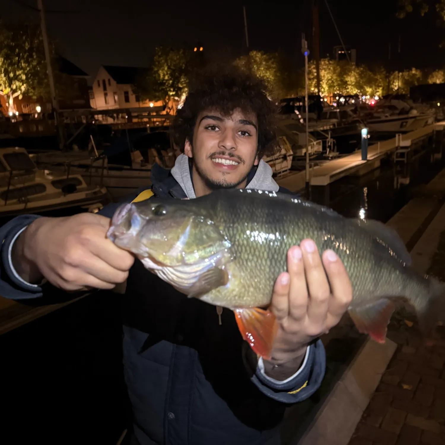 European perch caught on Fishbrain
