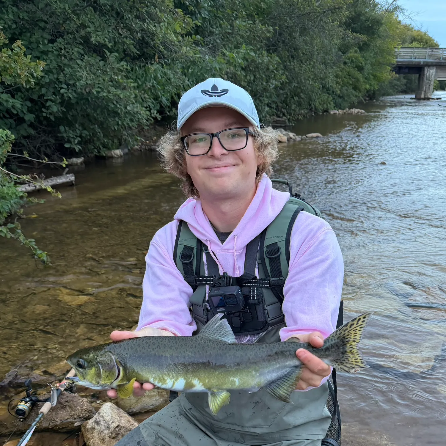 Pink salmon caught on Fishbrain