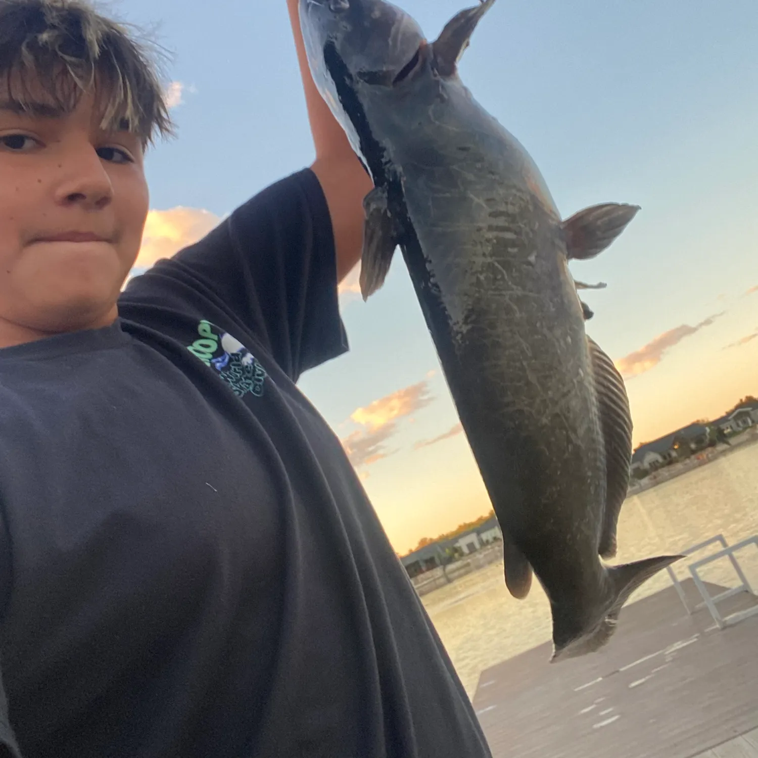 Channel catfish caught on Fishbrain