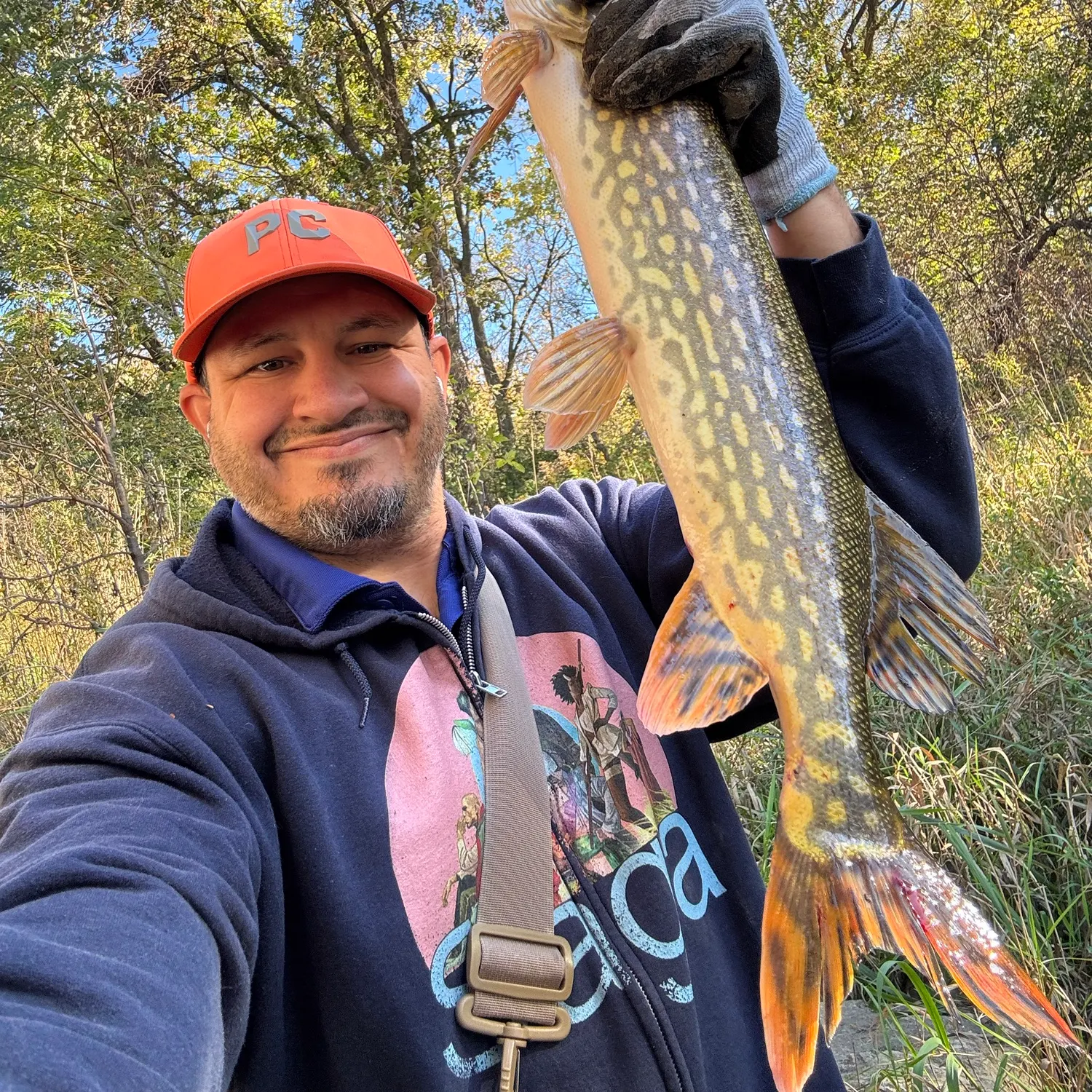 Northern pike caught on Fishbrain
