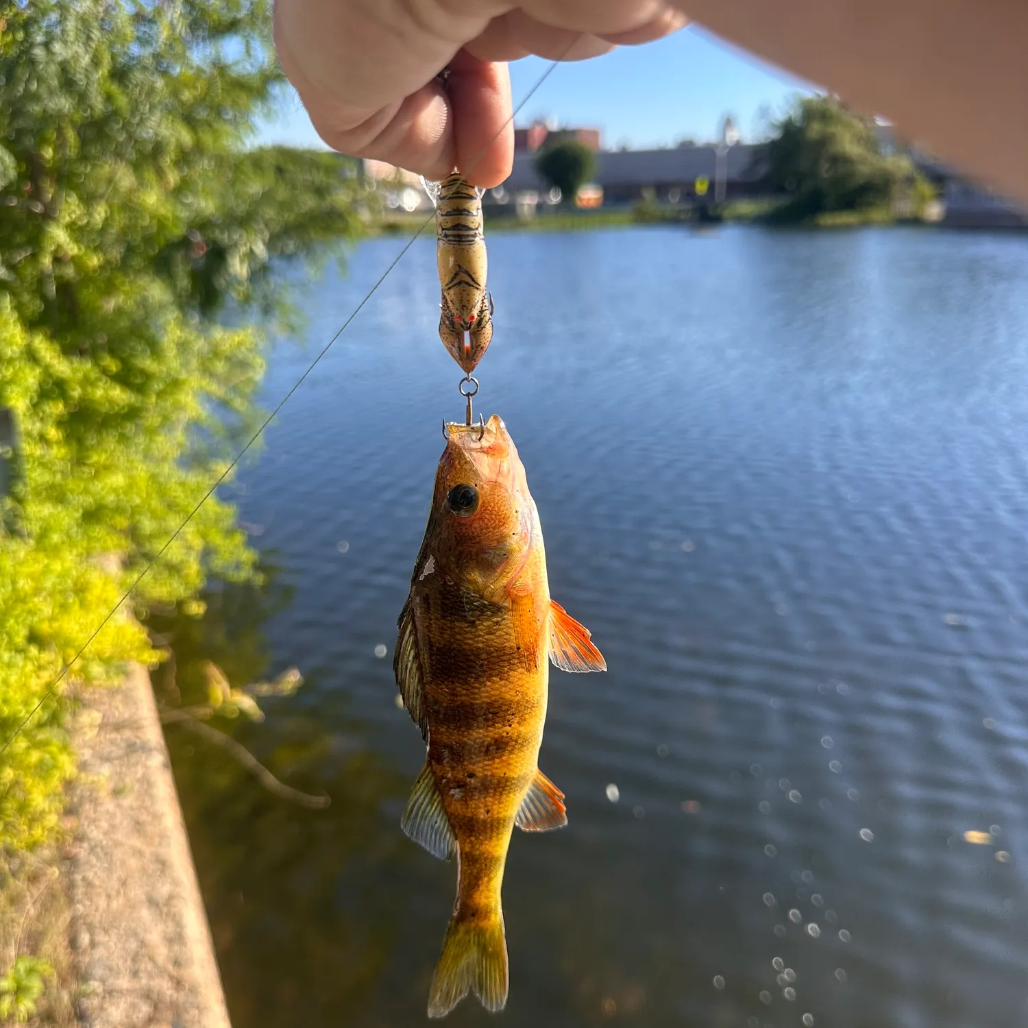 catch