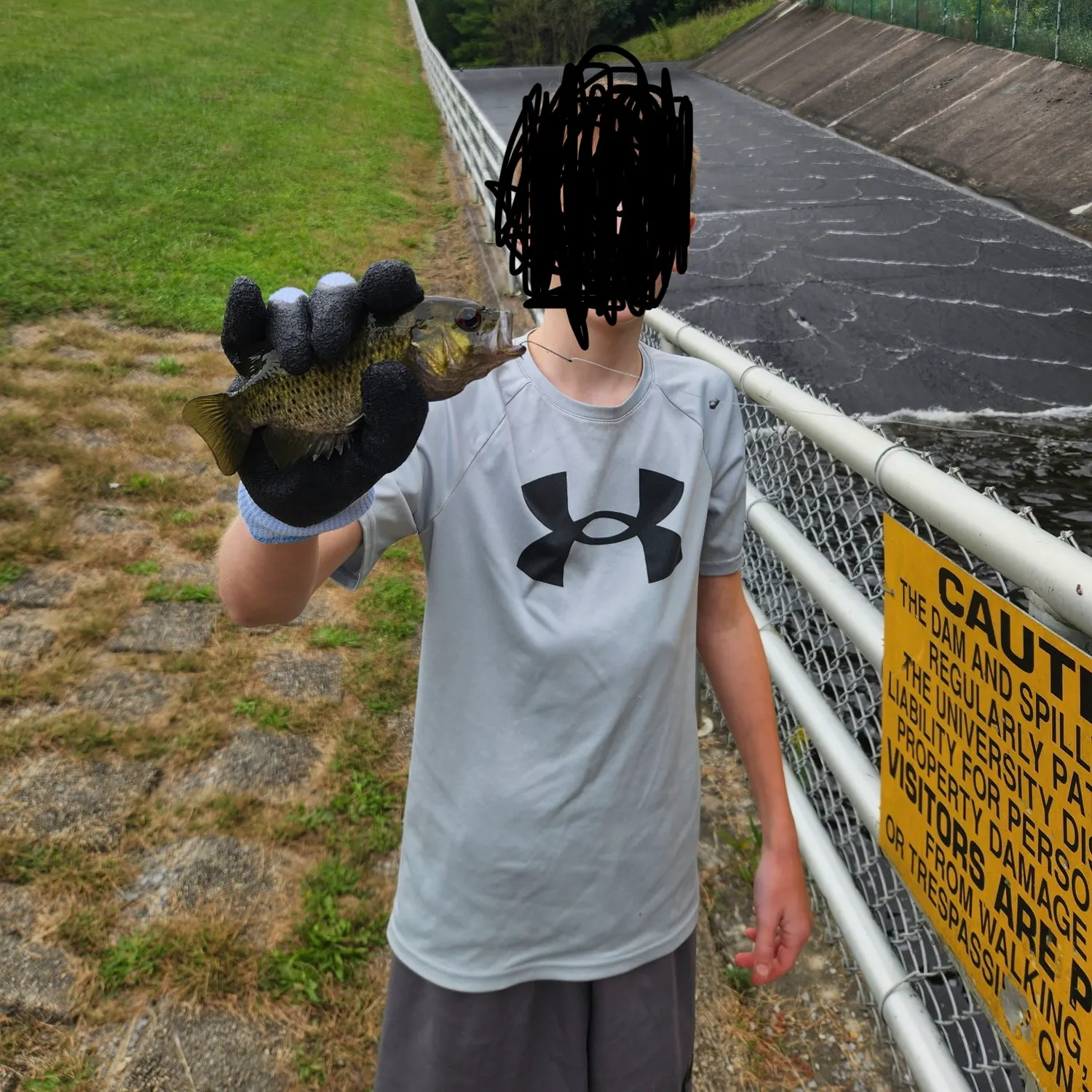Rock bass caught on Fishbrain