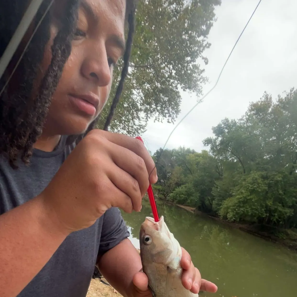 Freshwater drum caught on Fishbrain
