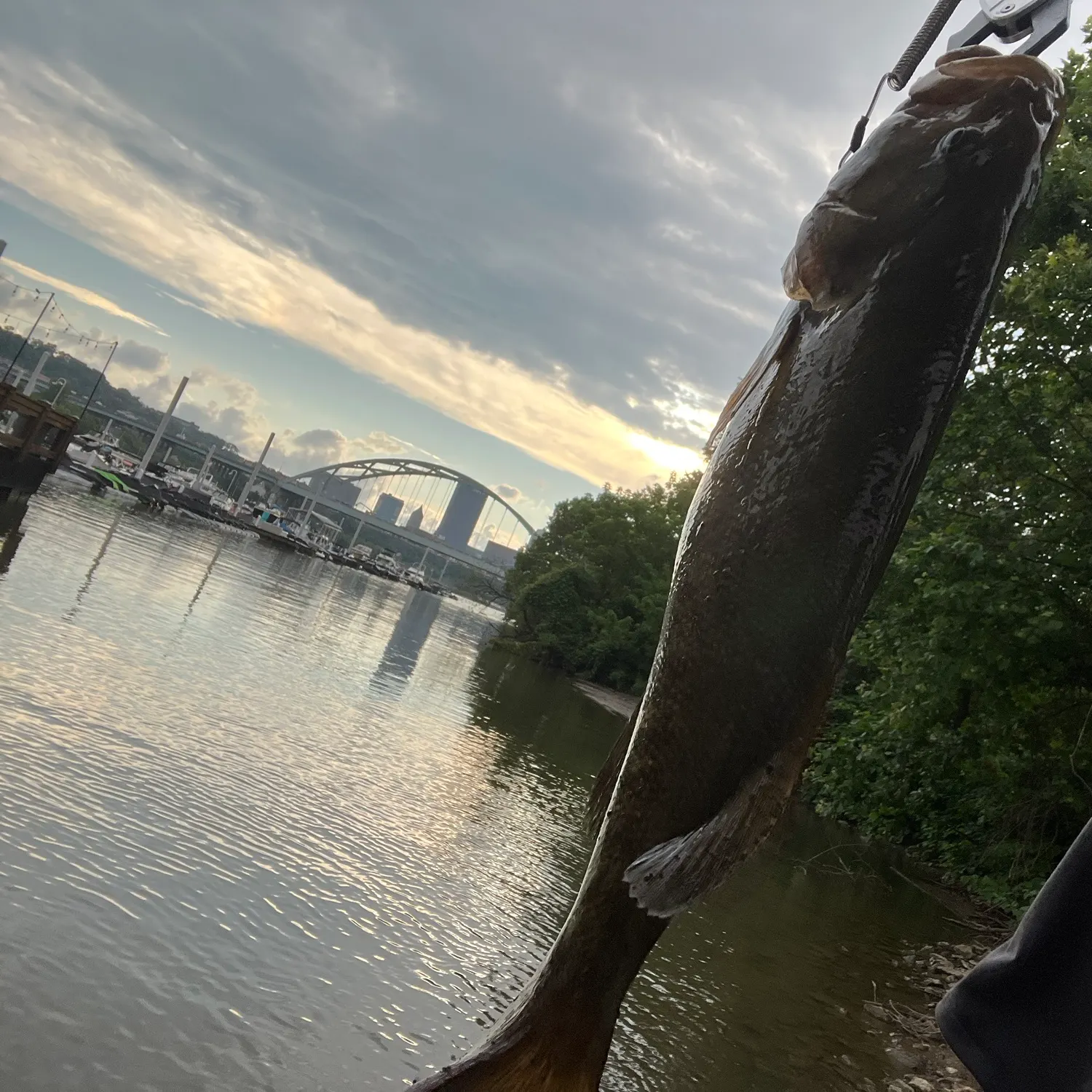 catch