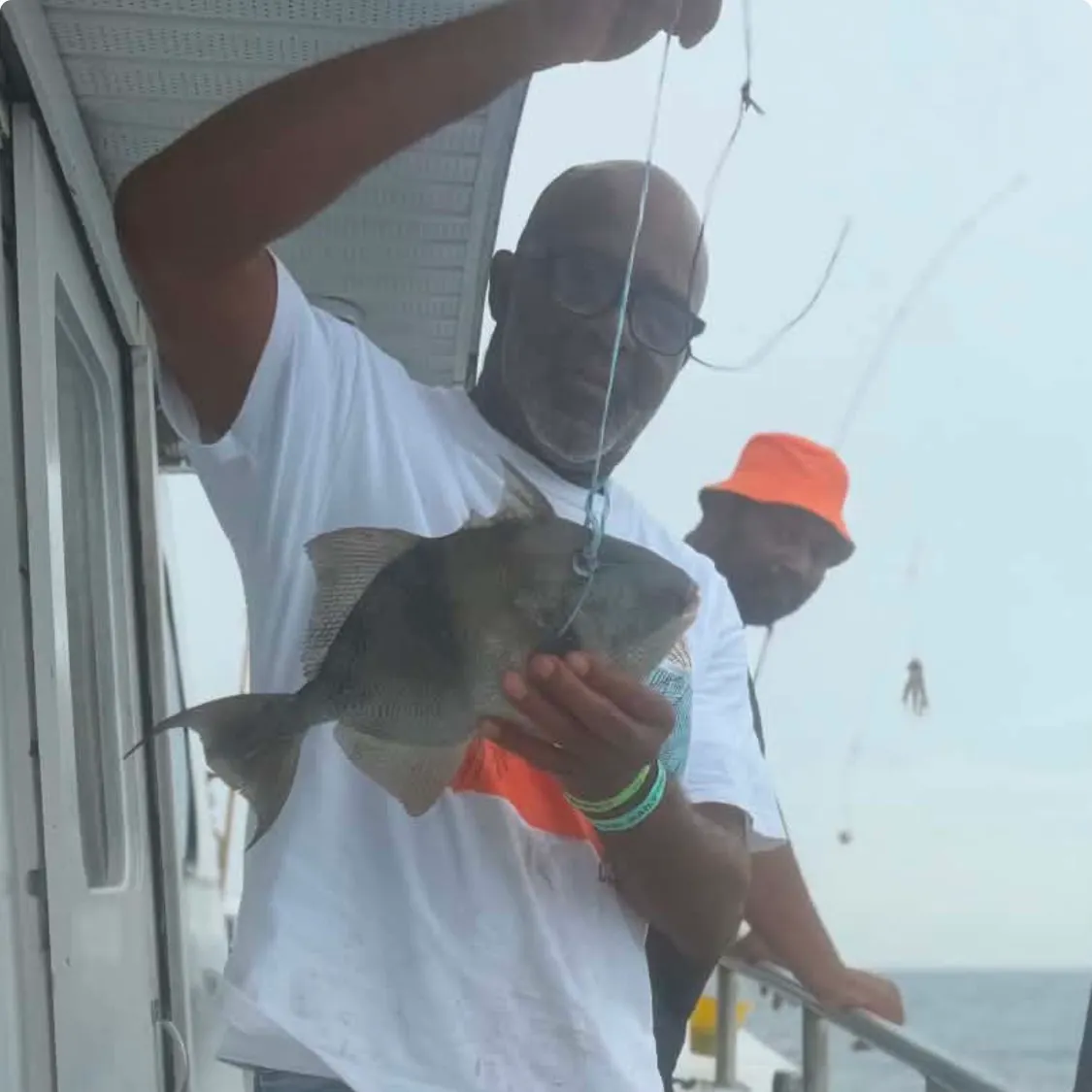 Striped triggerfish caught on Fishbrain