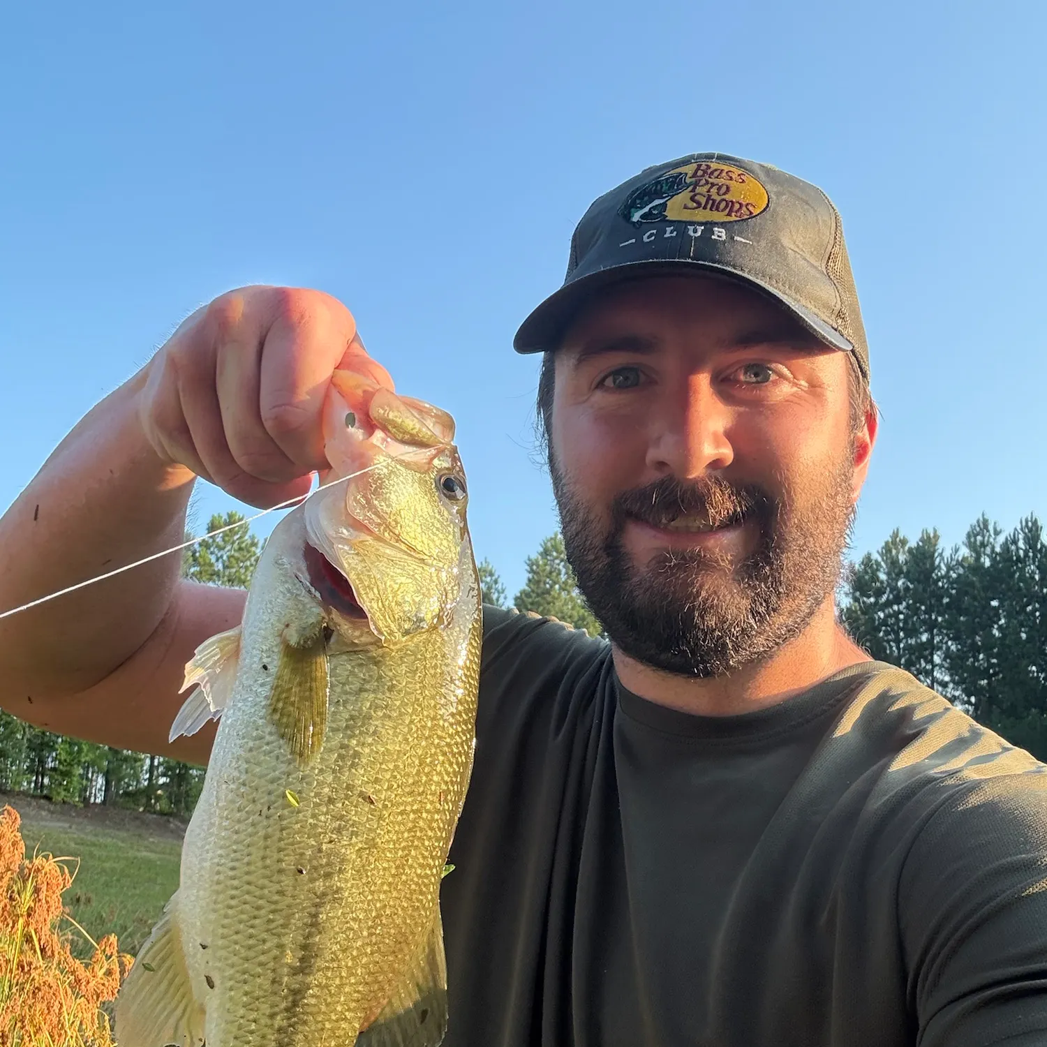 Largemouth bass caught on Fishbrain
