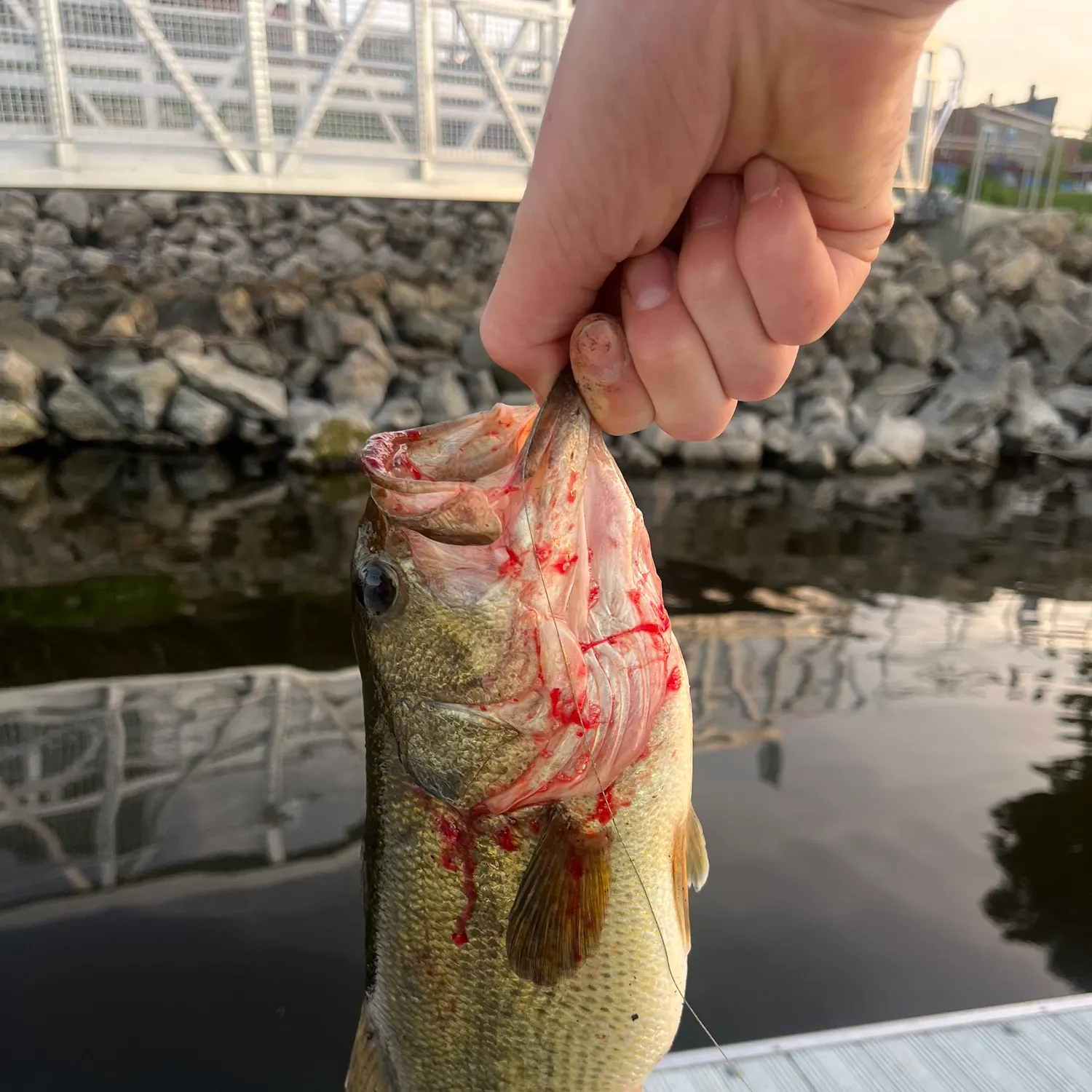 catch