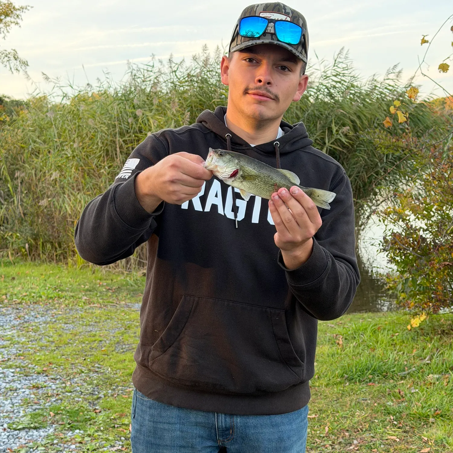 Largemouth bass caught on Fishbrain