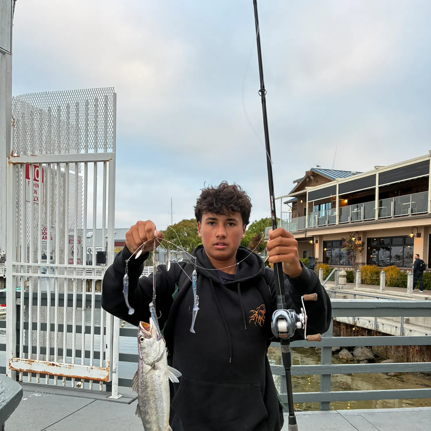 The most recent Shortfin corvina catches on Fishbrain