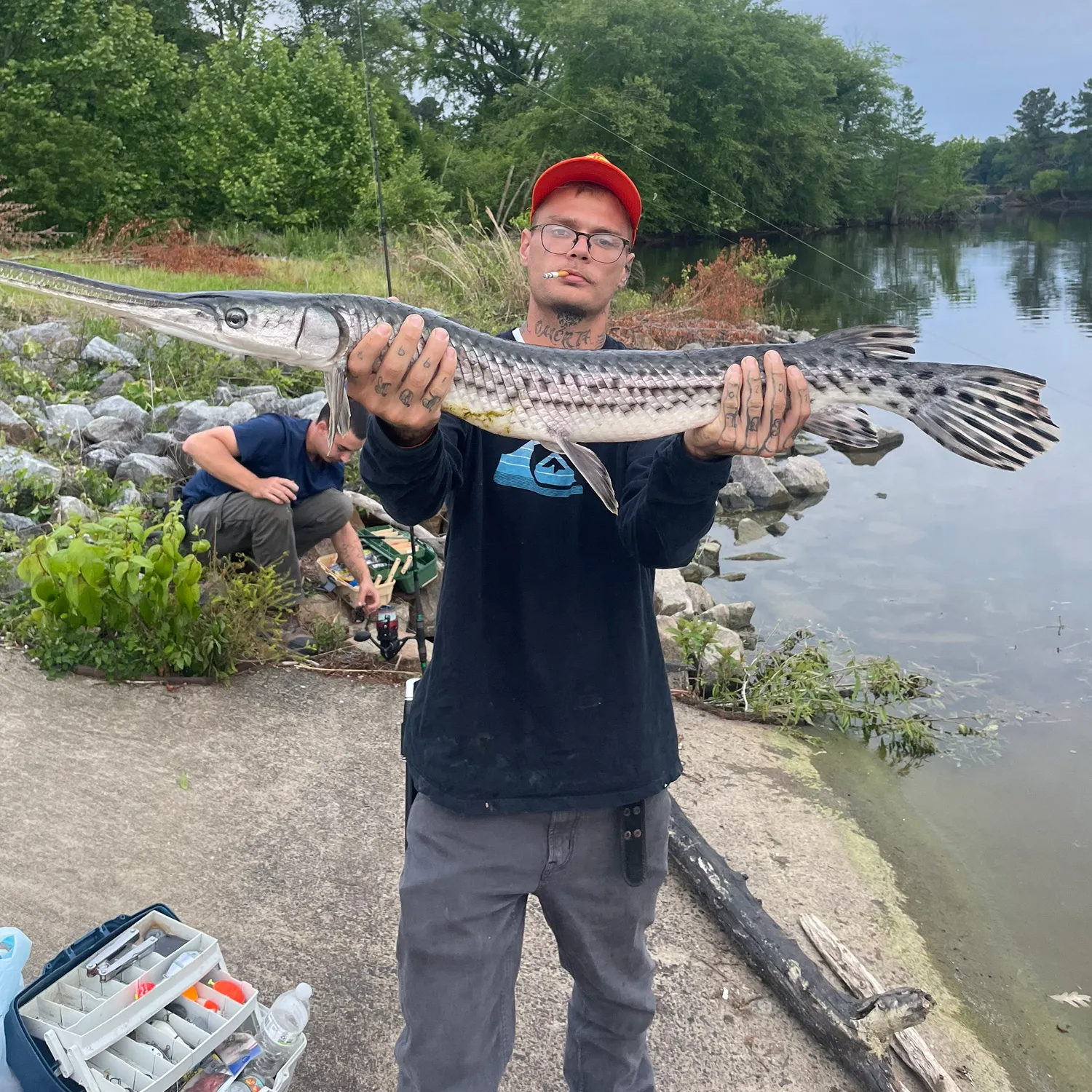 recently logged catches