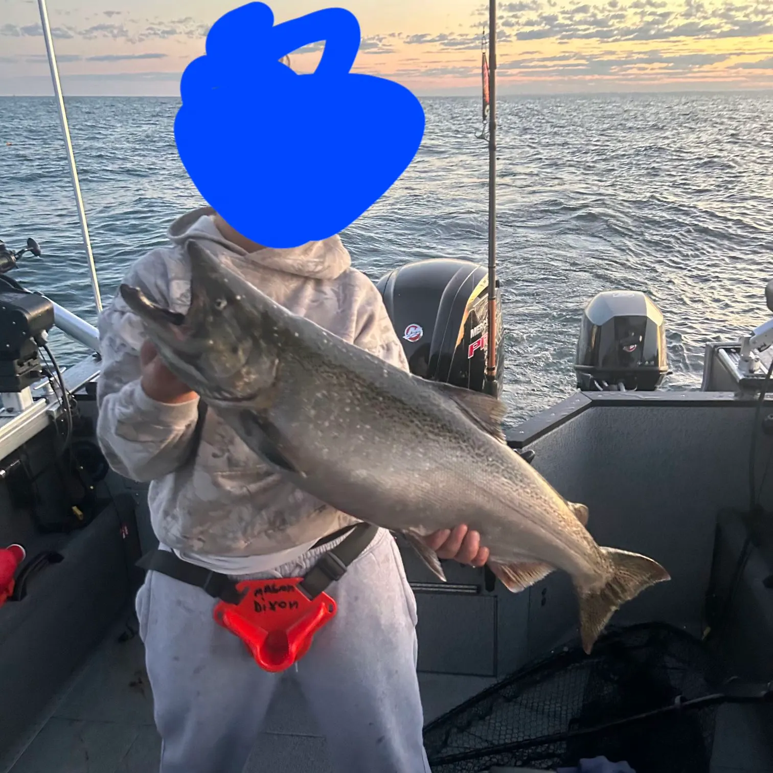 Chinook salmon caught on Fishbrain