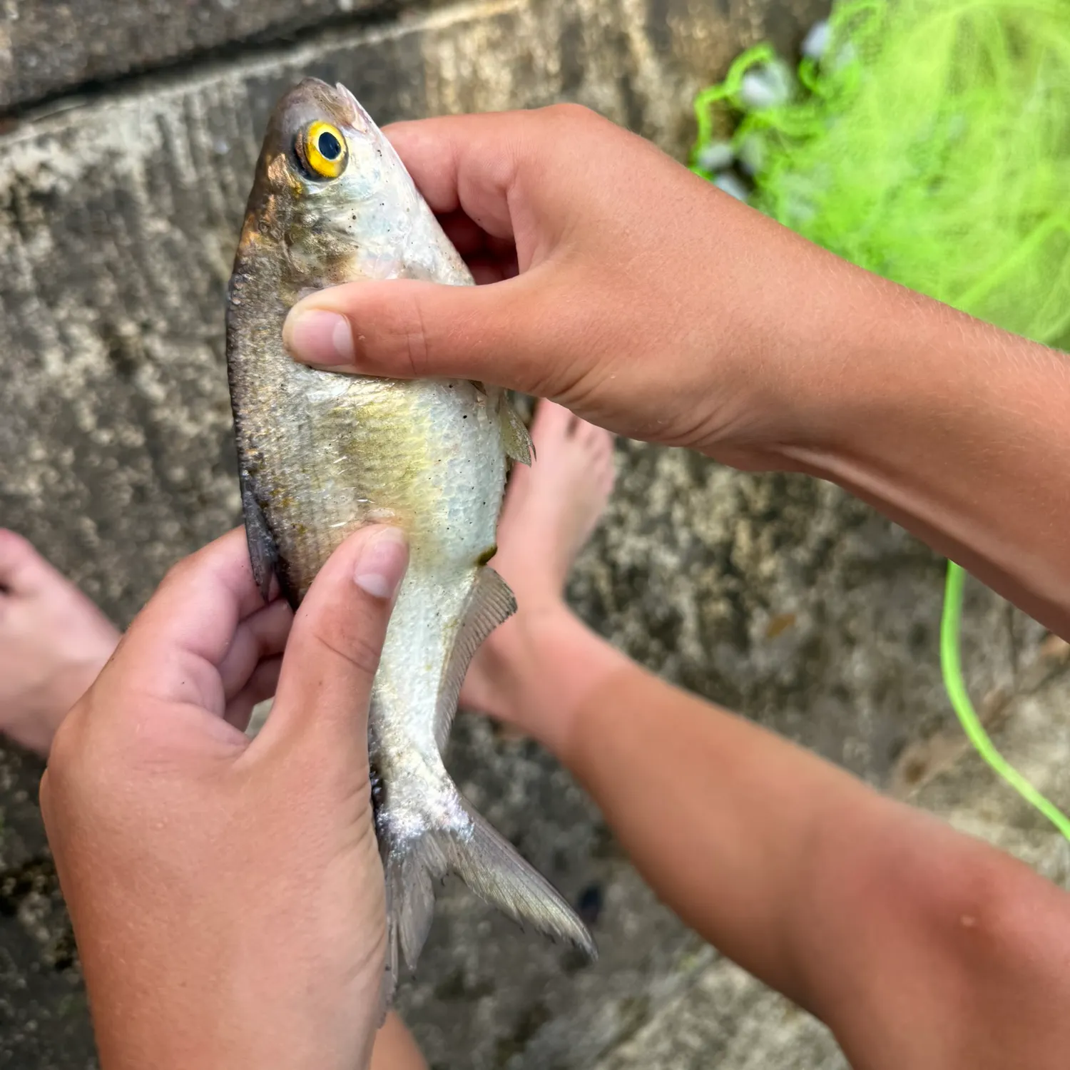 catch