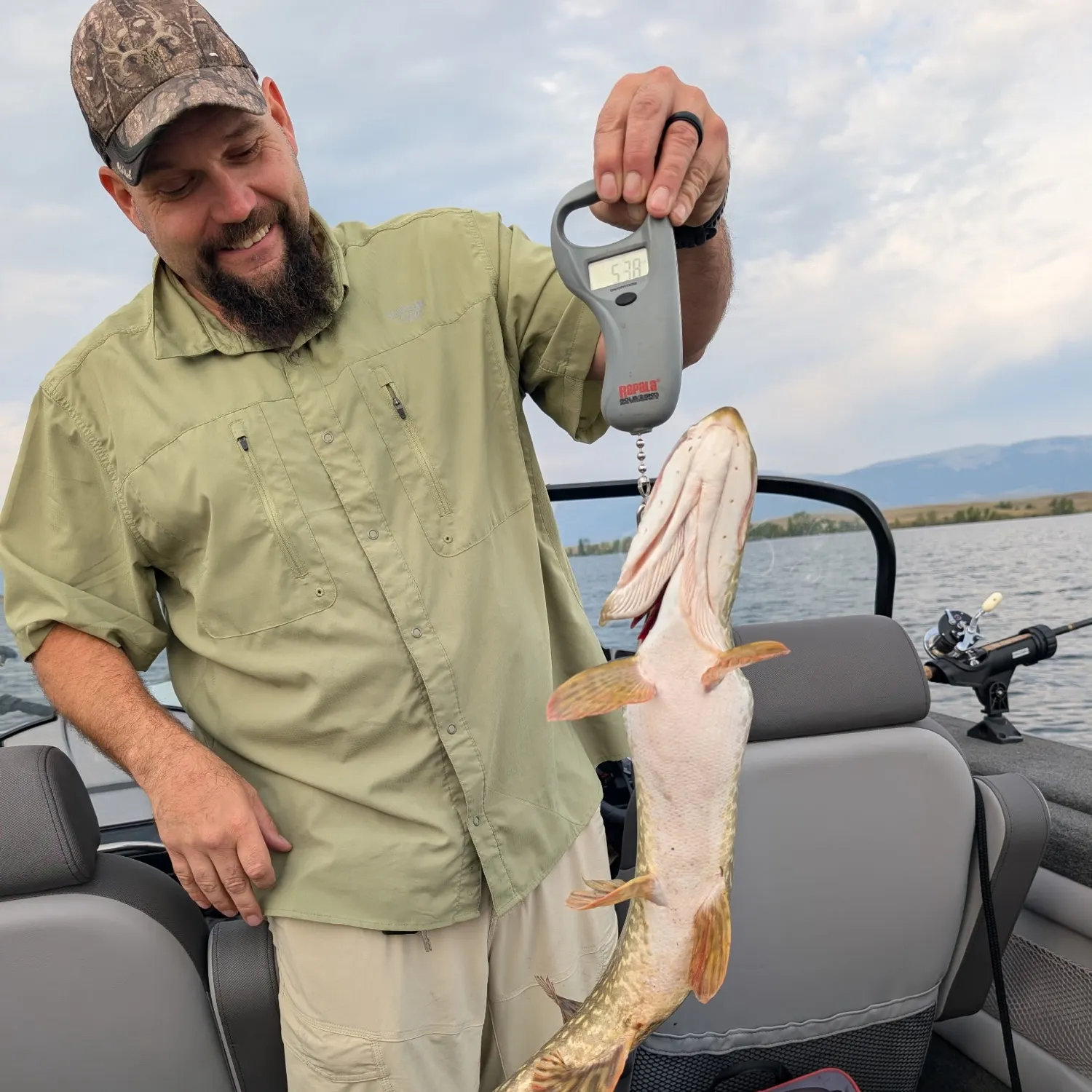Northern pike caught on Fishbrain