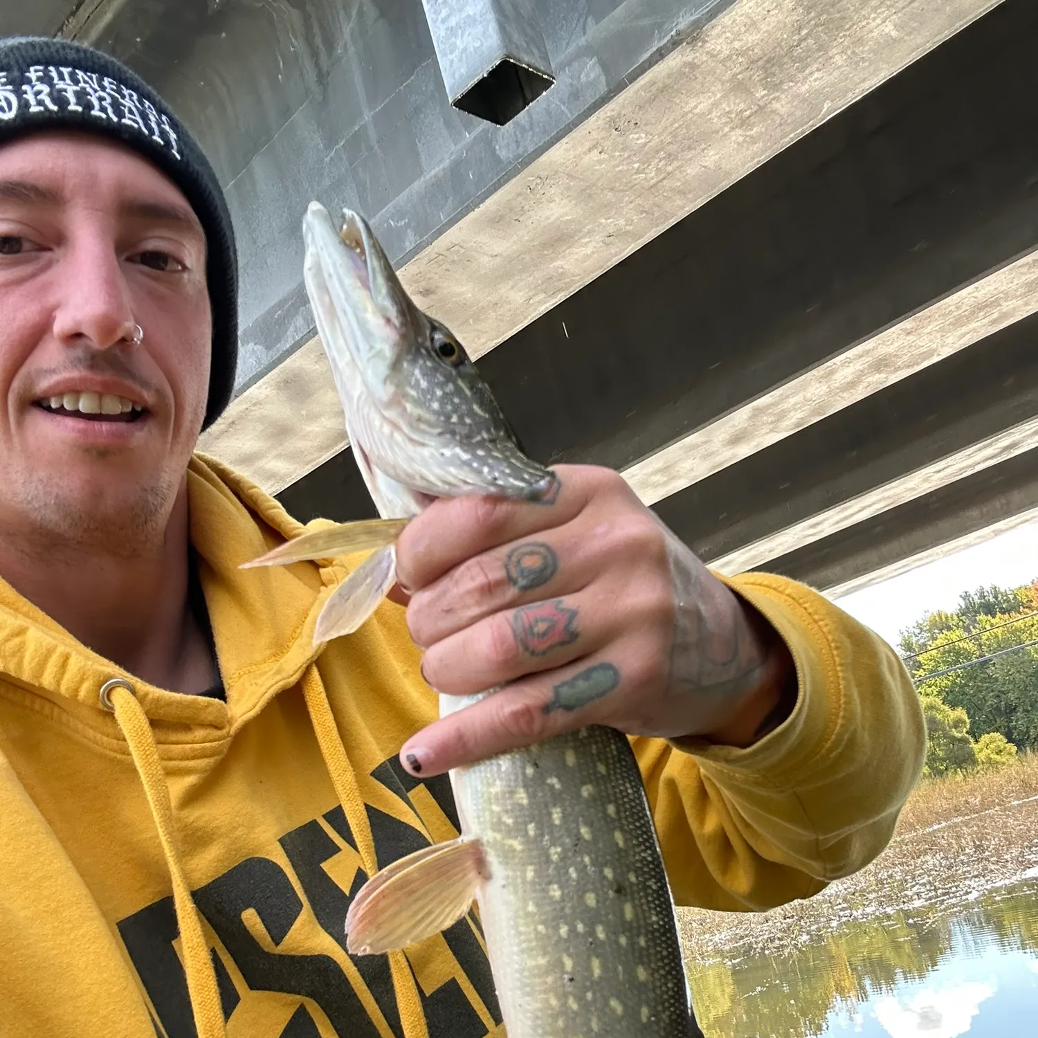 Northern pike caught on Fishbrain