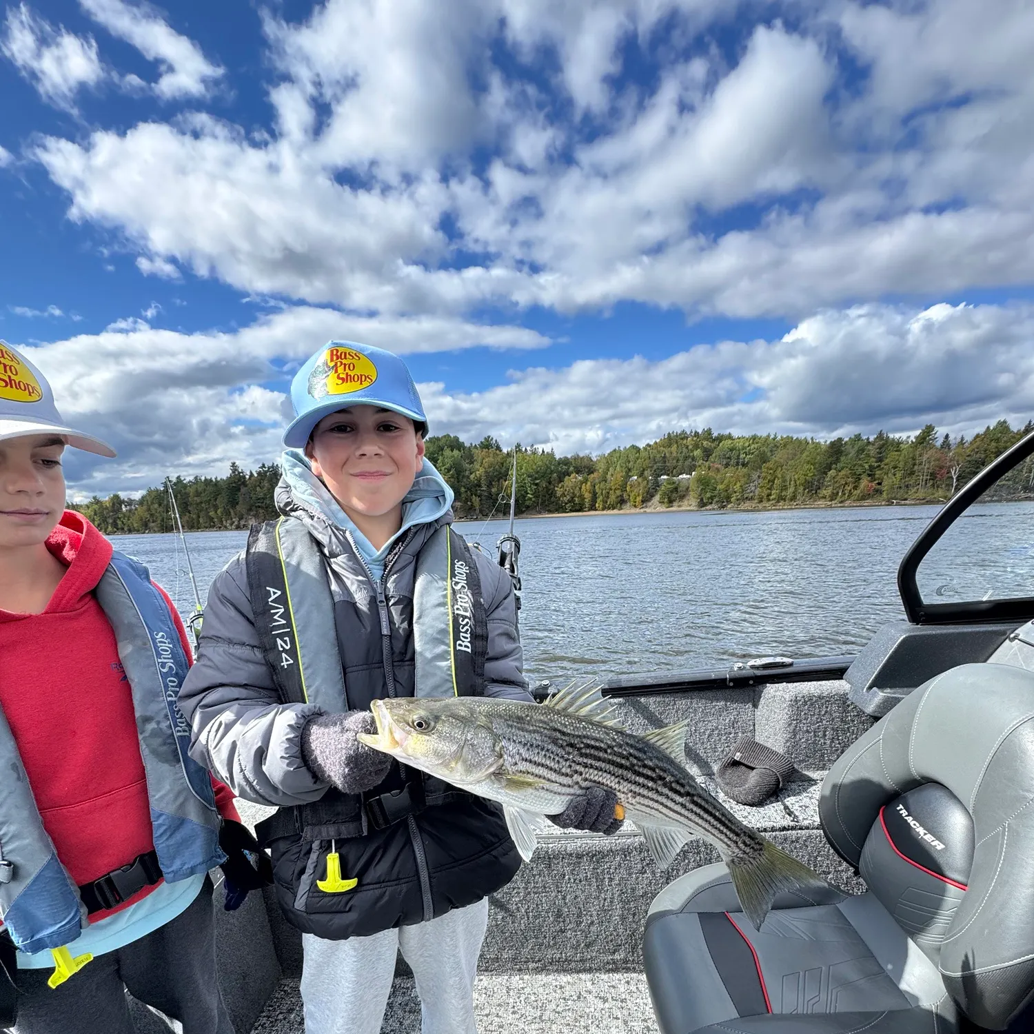 Striped bass caught on Fishbrain