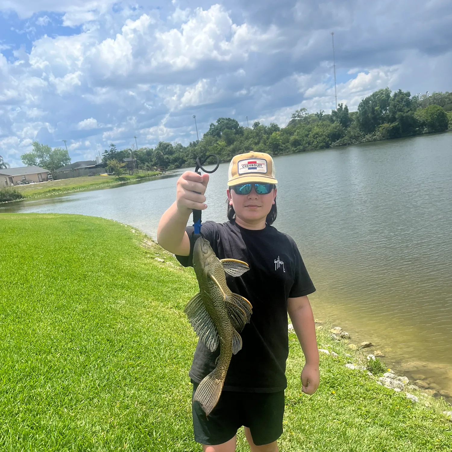 The most recent Suckermouth catfish catches on Fishbrain