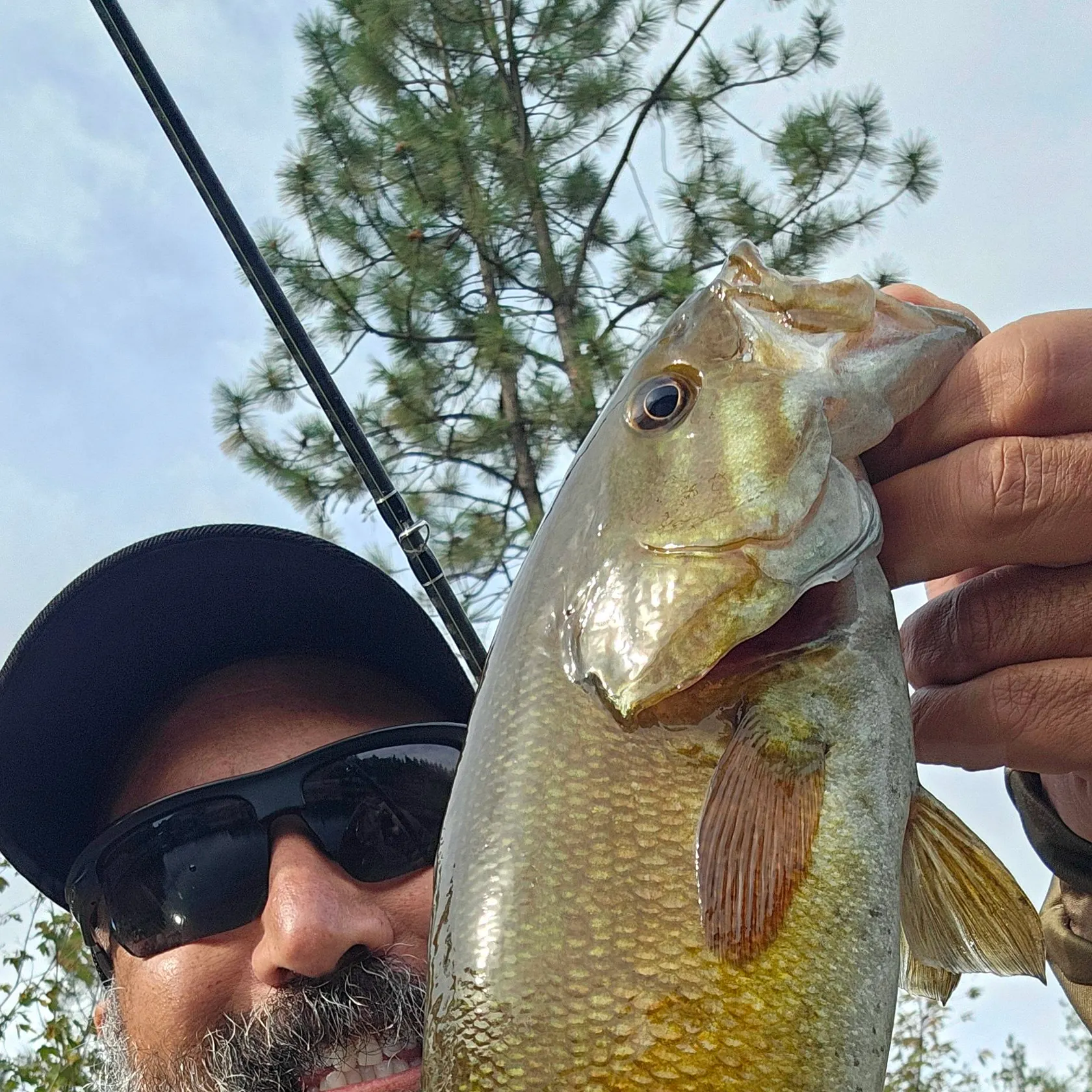 Smallmouth bass caught on Fishbrain