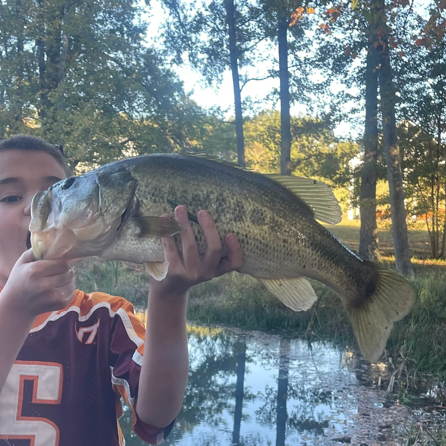 Largemouth bass caught on Fishbrain