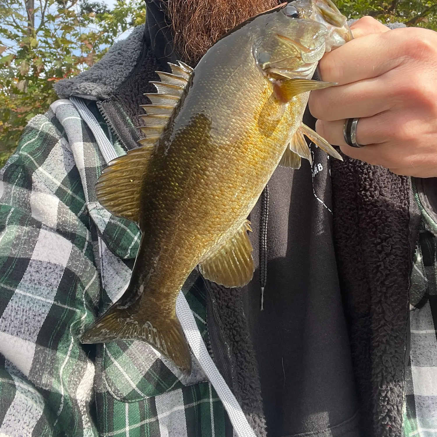 Smallmouth bass caught on Fishbrain