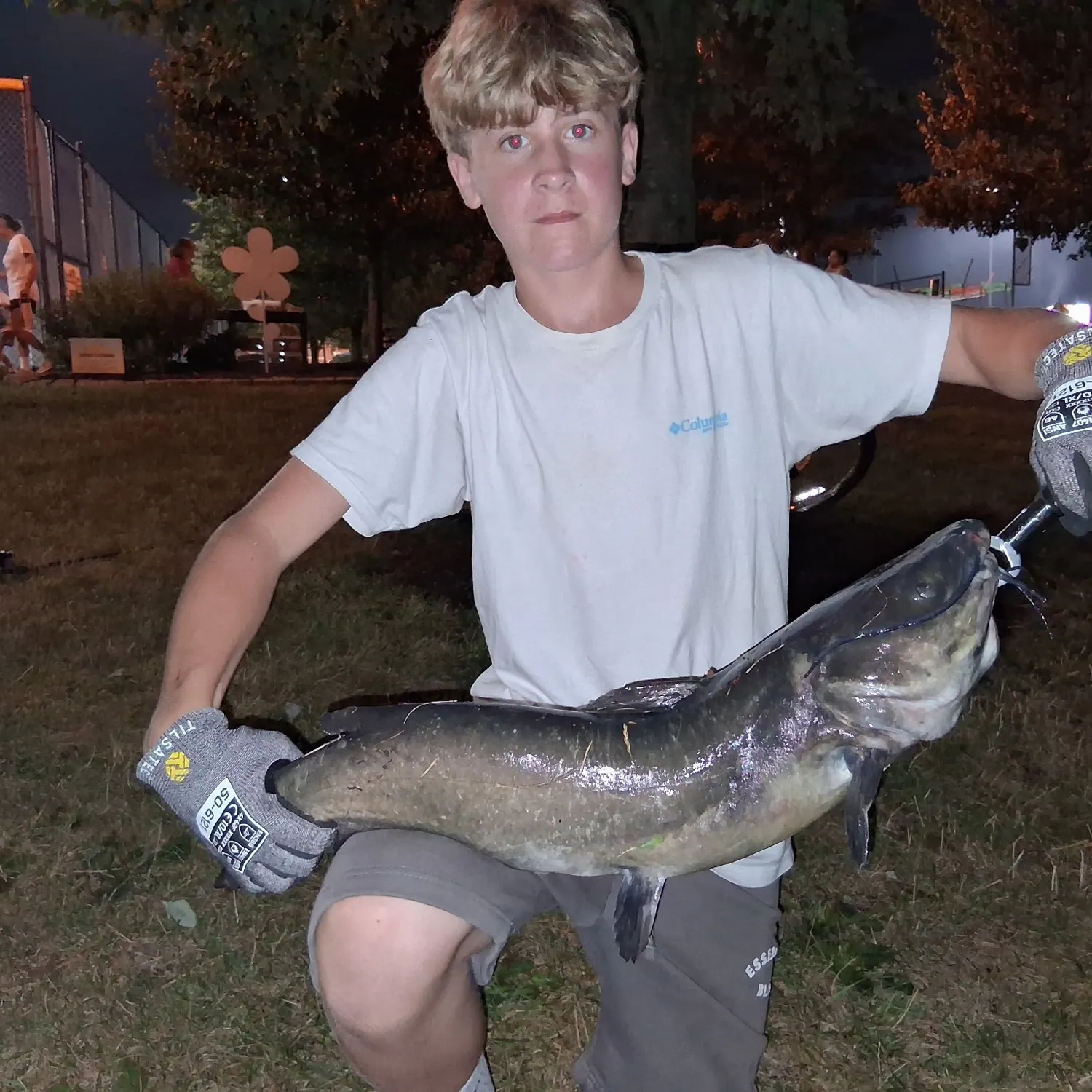 Channel catfish caught on Fishbrain