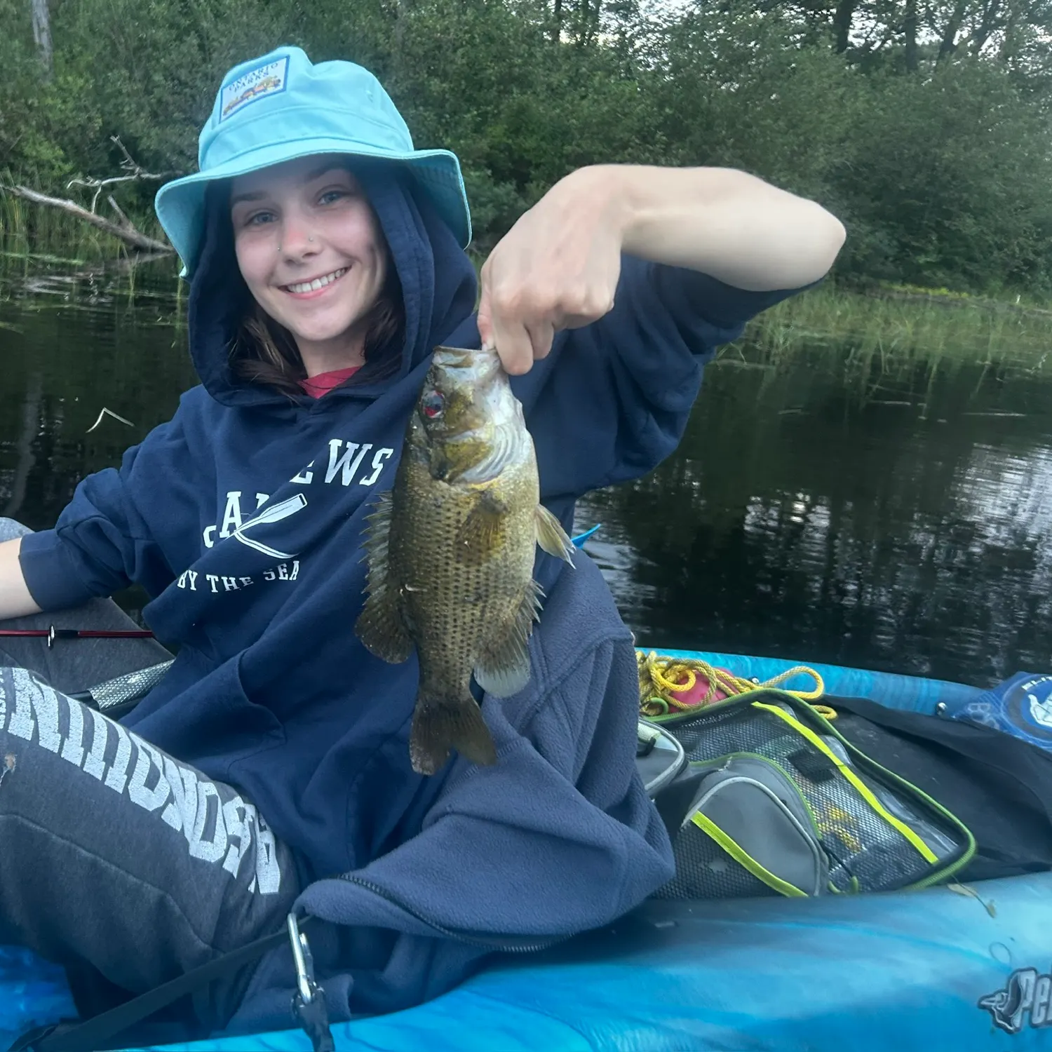 Rock bass caught on Fishbrain