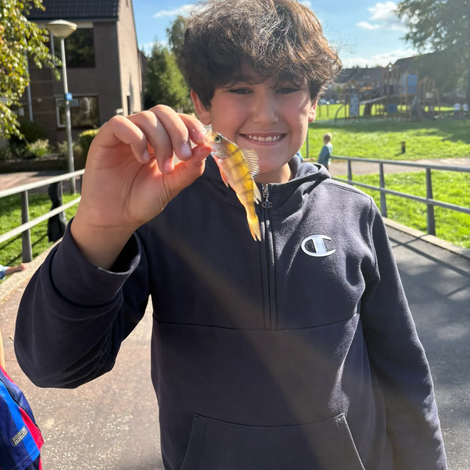 European perch caught on Fishbrain