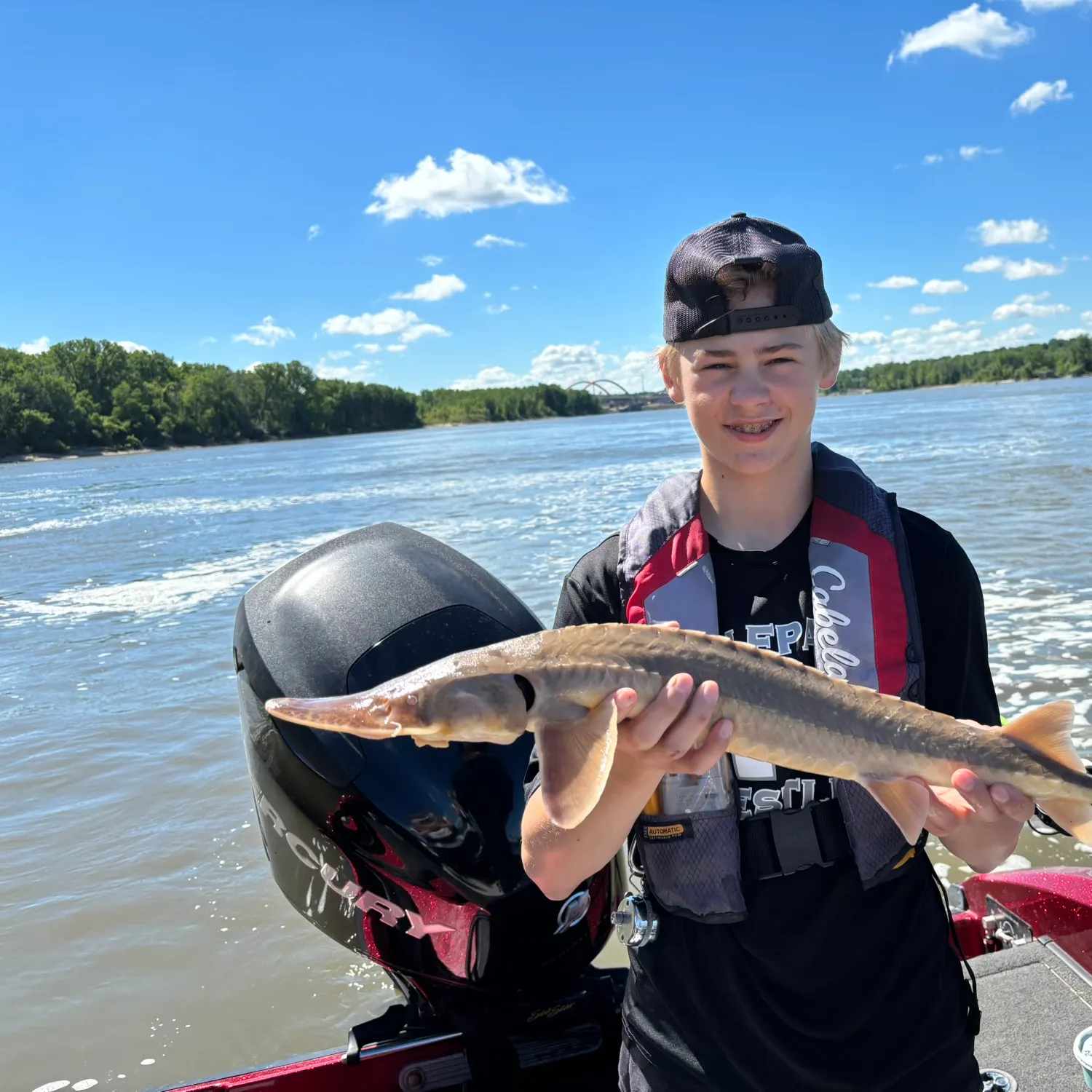 The most recent Shovelnose sturgeon catches on Fishbrain