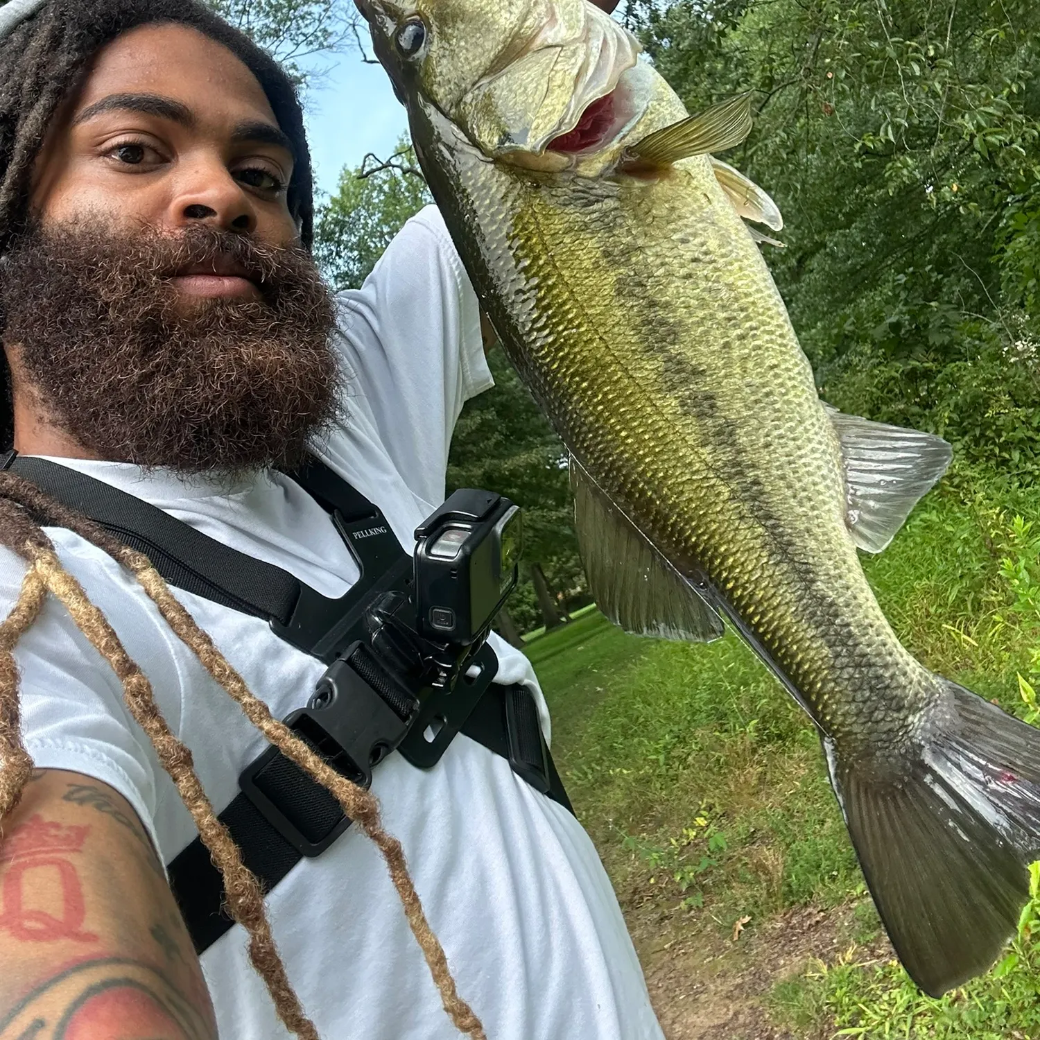 Largemouth bass caught on Fishbrain