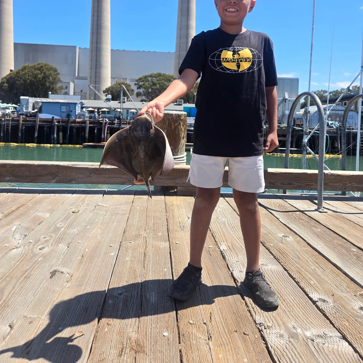 Bat eagle ray caught on Fishbrain